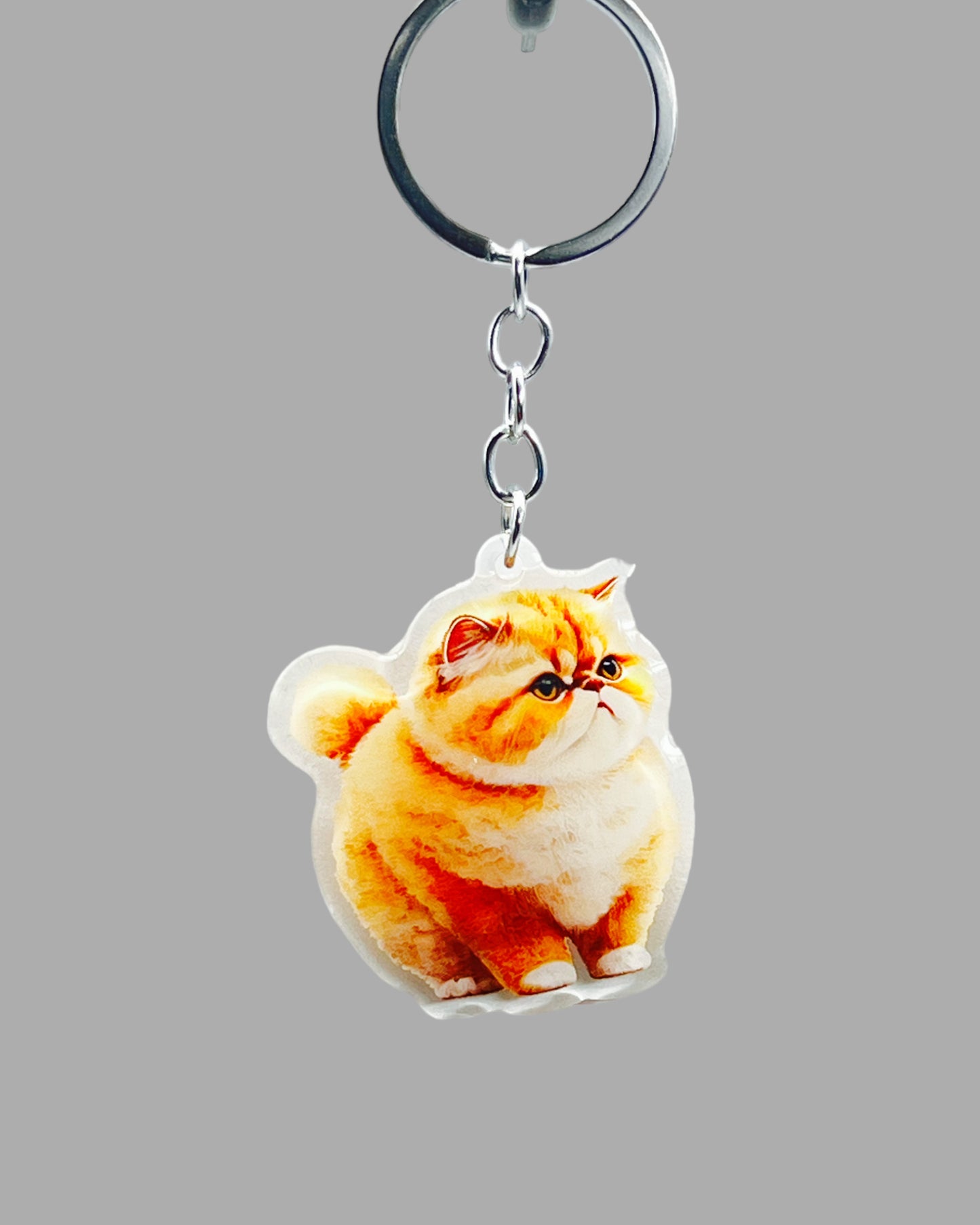 Orange Persian Cat Acrylic Keychain, Cute kawaii memorial ornament, pet portrait charm gift backpack fob, dad car décor, first day of school gift