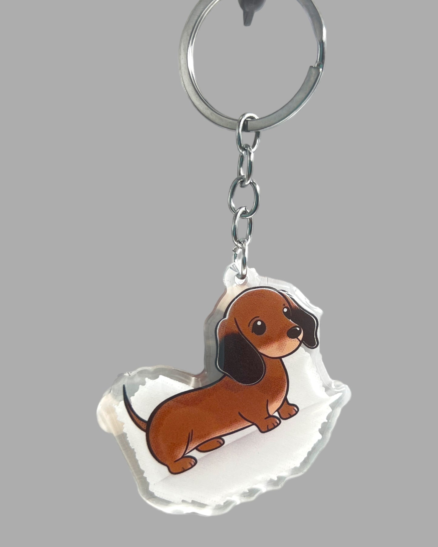 Salmon Acrylic Keychain, Wildlife Cute kawaii memorial ornament, pet portrait charm, backpack fob, dad car décor, stocking stuffer, birthday gift