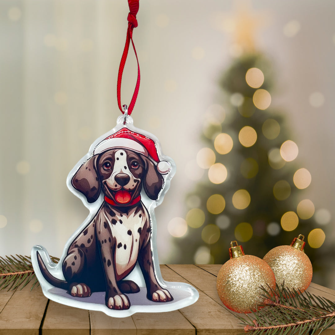 Acrylic Pet ornament, Christmas Ornament, Pet Memorial Ornament,Christmas Photo Ornament, Pet Portrait