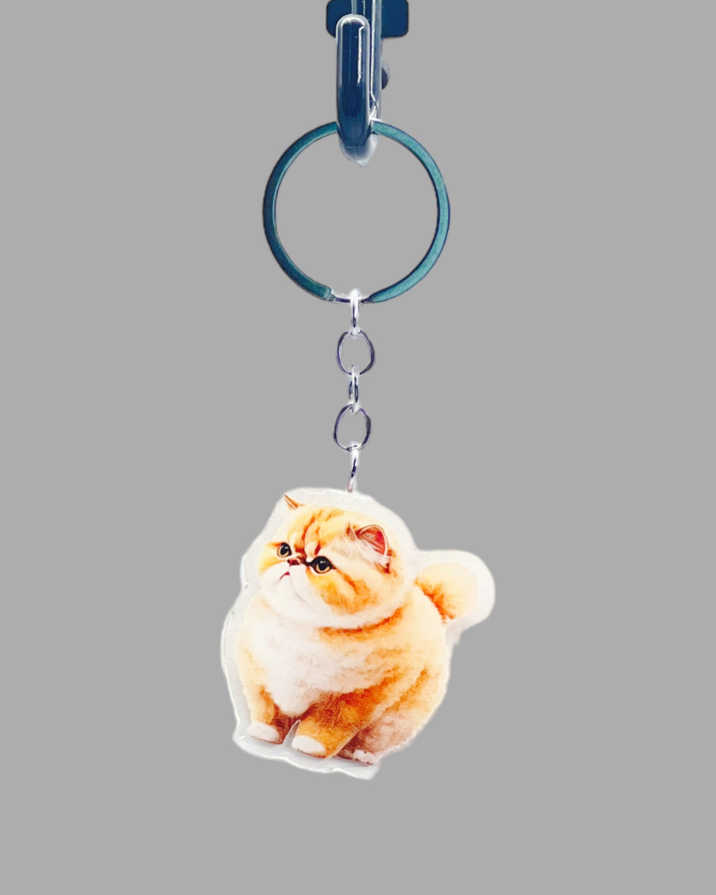 Orange Persian Cat Acrylic Keychain, Cute kawaii memorial ornament, pet portrait charm gift backpack fob, dad car décor, first day of school gift