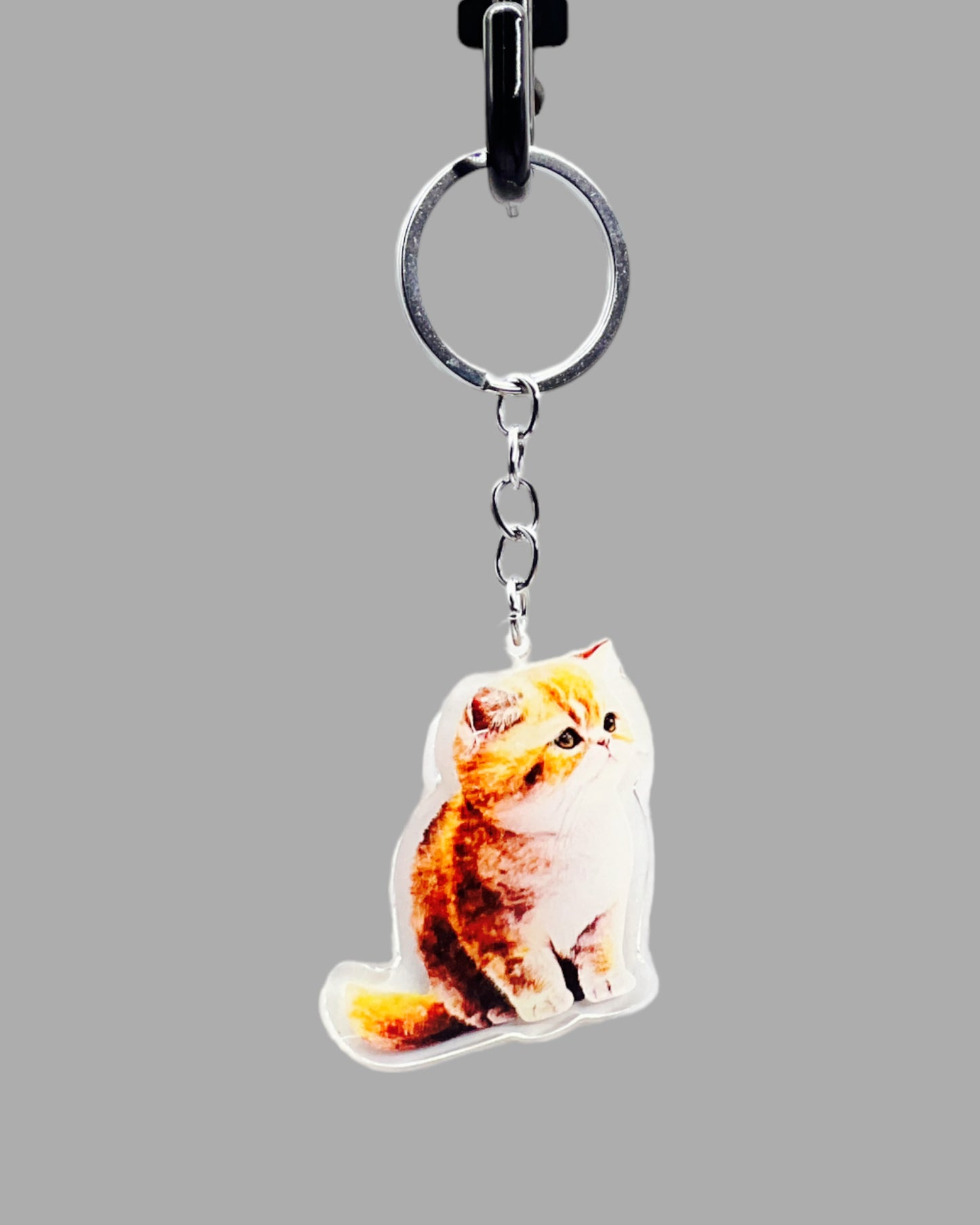 Orange Persian Cat Acrylic Keychain, Cute kawaii memorial ornament, pet portrait charm gift backpack fob, dad car décor, first day of school gift