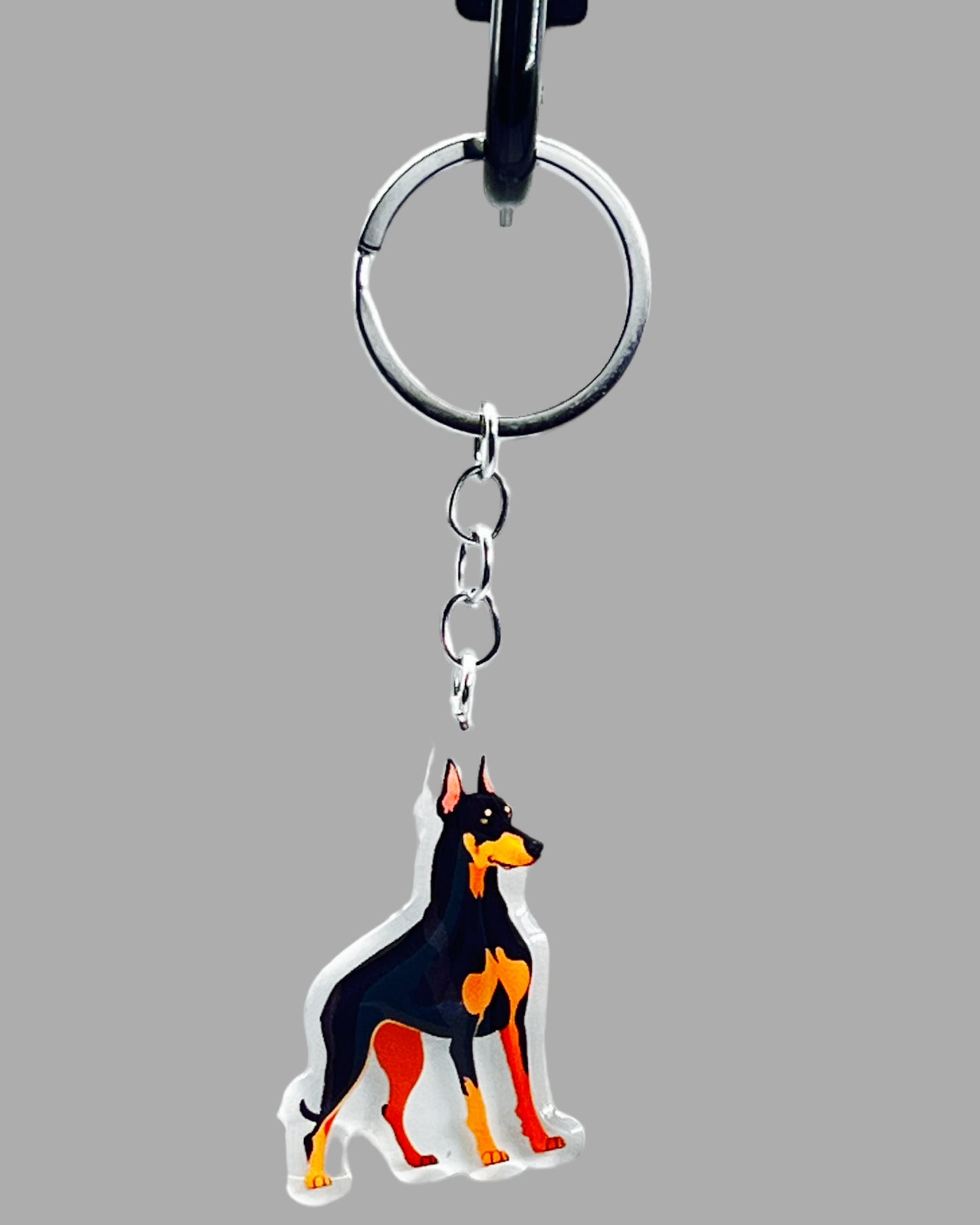 Doberman Pinscher Dog Acrylic Keychain Cute kawaii memorial ornament, pet portrait charm gift  backpack photo fob, dad car décor, dog mom gift