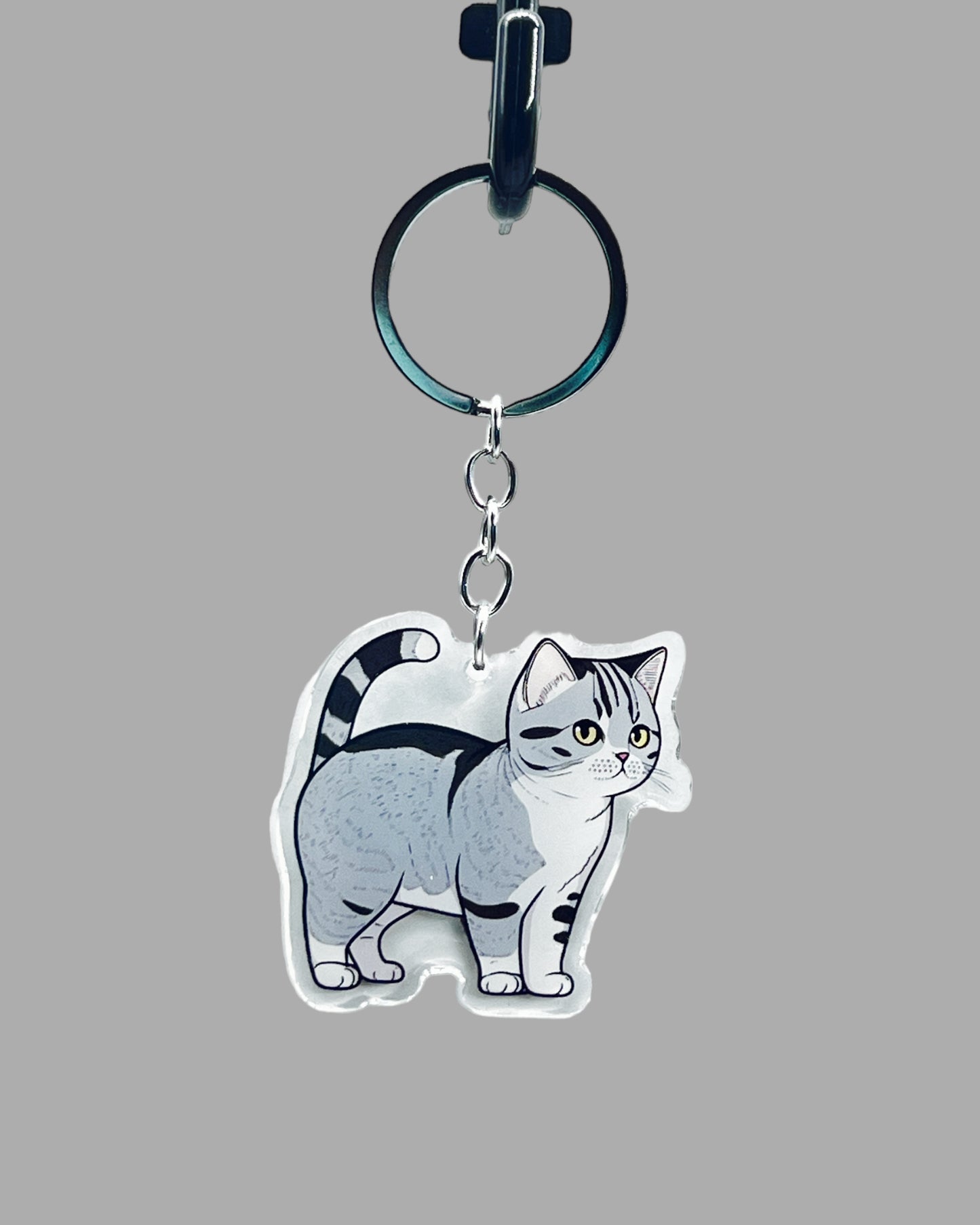 American Short Hair Cat Acrylic Keychain Cute kawaii animal memorial ornament, pet portrait charm gift  backpack photo fob or dad car décor