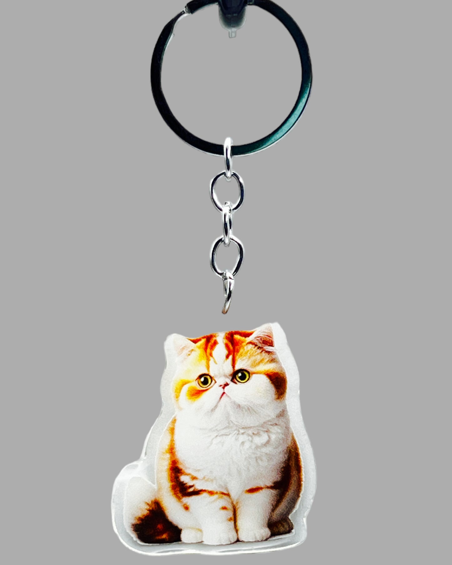 Orange Tabby Cat Acrylic keychain, Cute kawaii memorial ornament, pet portrait charm gift backpack fob, dad car décor, first day of school gift