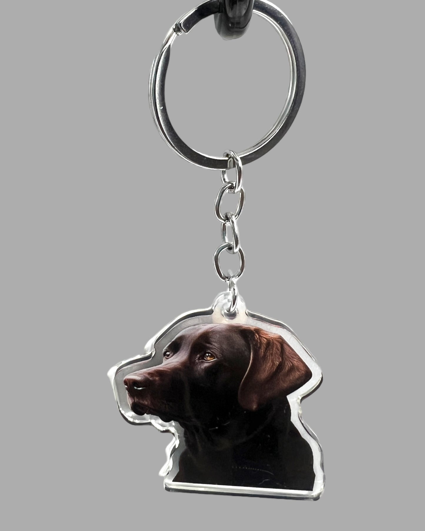 Chihuahua Acrylic Keychain Cute kawaii memorial ornament, pet portrait charm gift  backpack fob, dad car décor, dog mom