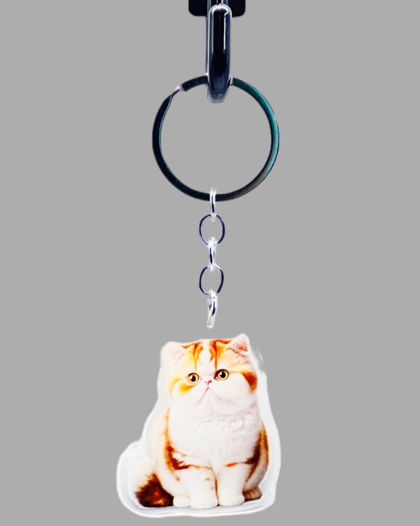 Orange Tabby Cat Acrylic keychain, Cute kawaii memorial ornament, pet portrait charm gift backpack fob, dad car décor, first day of school gift