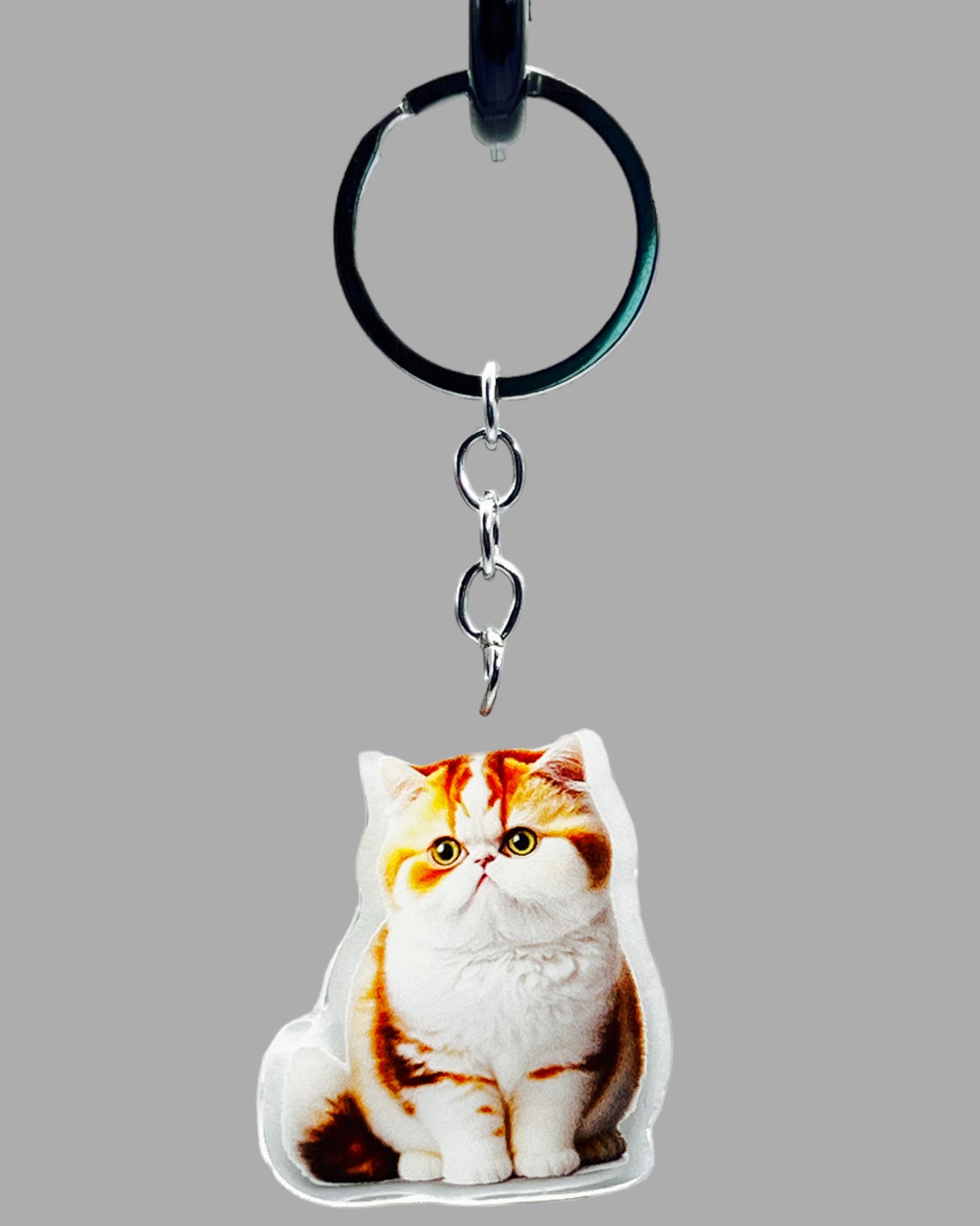 Orange Tabby Cat Acrylic keychain, Cute kawaii memorial ornament, pet portrait charm gift backpack fob, dad car décor, first day of school gift