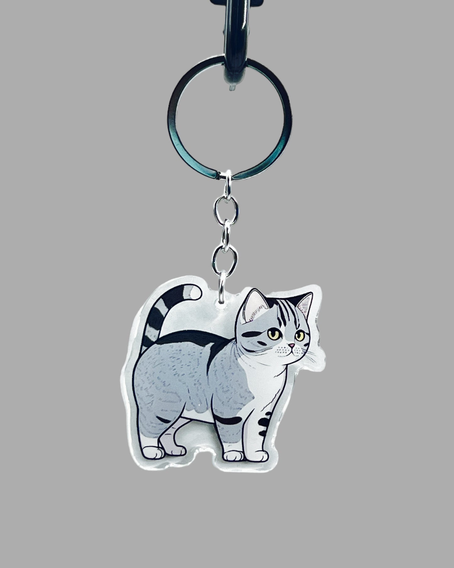 American Short Hair Cat Acrylic Keychain Cute kawaii animal memorial ornament, pet portrait charm gift  backpack photo fob or dad car décor