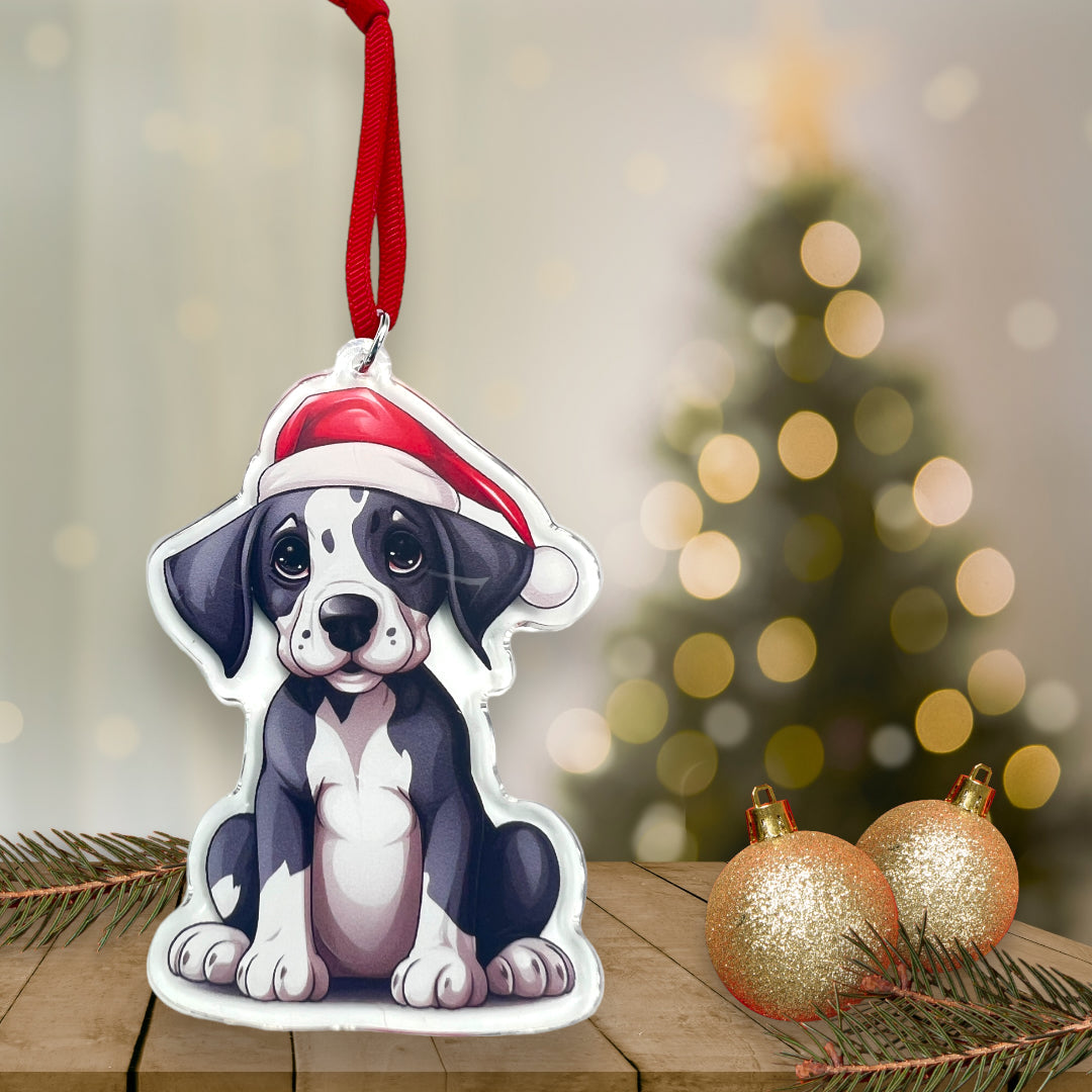 Acrylic Pet ornament, Christmas Ornament, Pet Memorial Ornament,Christmas Photo Ornament, Pet Portrait