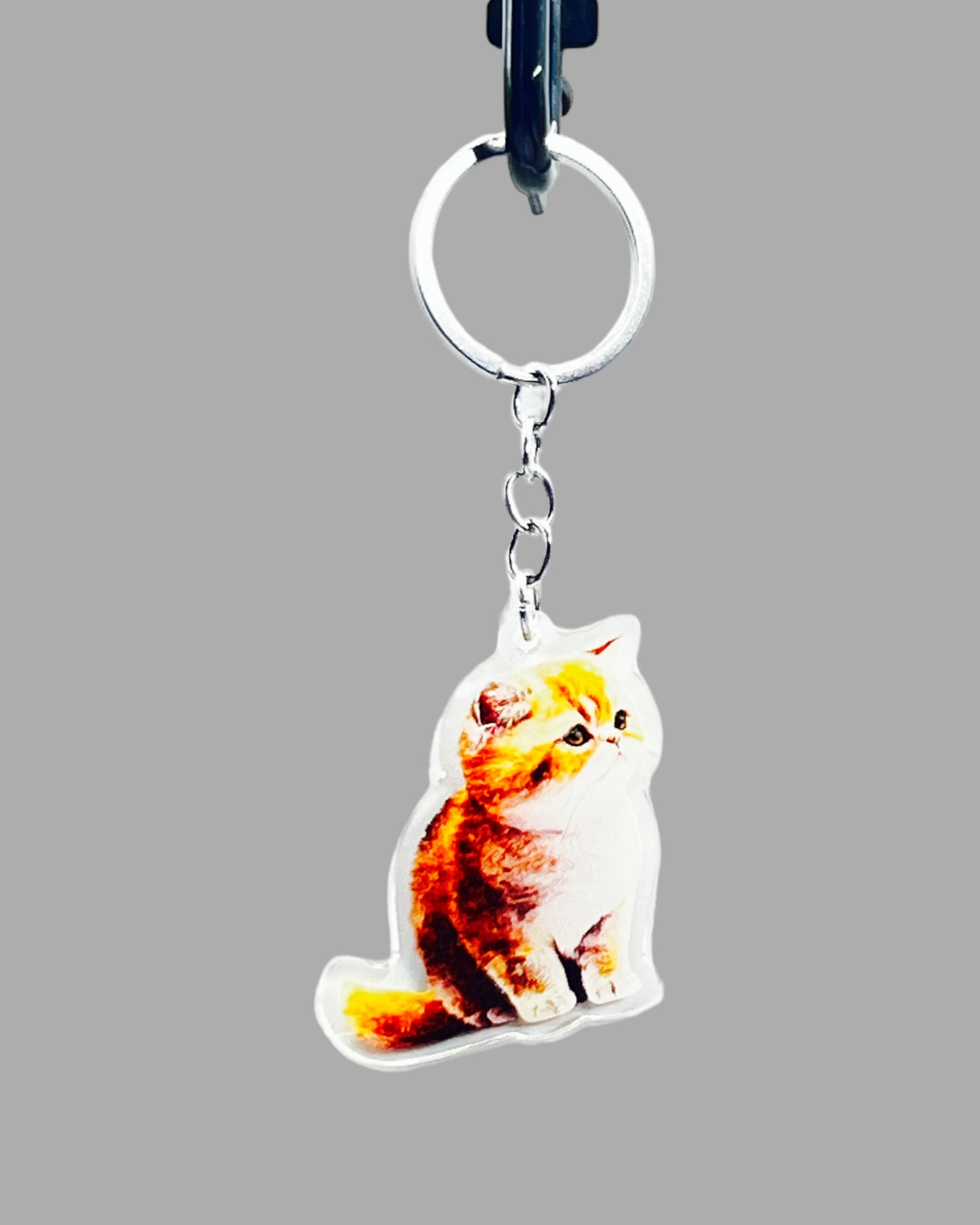 Orange Persian Cat Acrylic Keychain, Cute kawaii memorial ornament, pet portrait charm gift backpack fob, dad car décor, first day of school gift