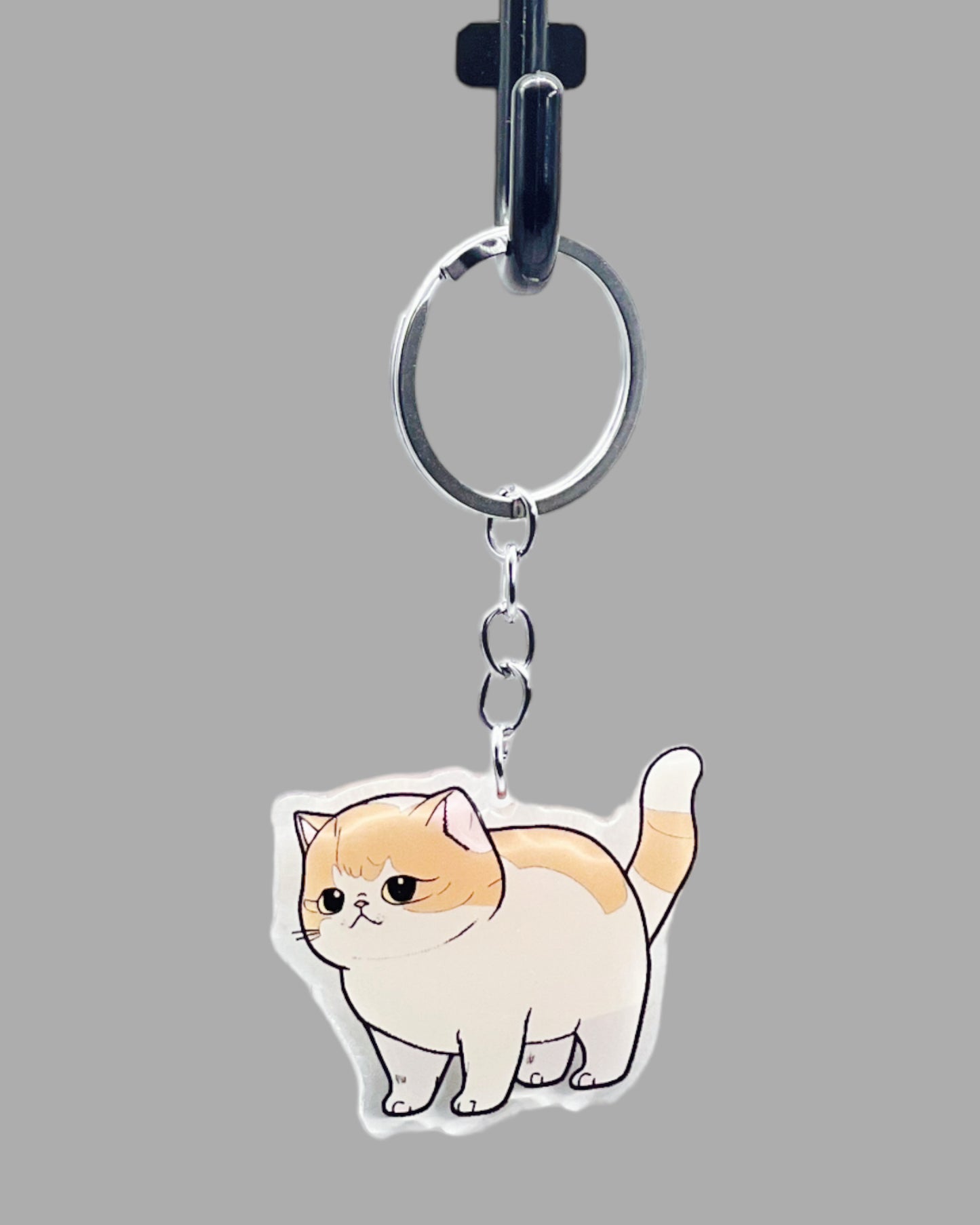 Birman Cat Acrylic keychain, Cute kawaii animal memorial ornament, pet portrait charm gift  backpack photo fob or dad car décor