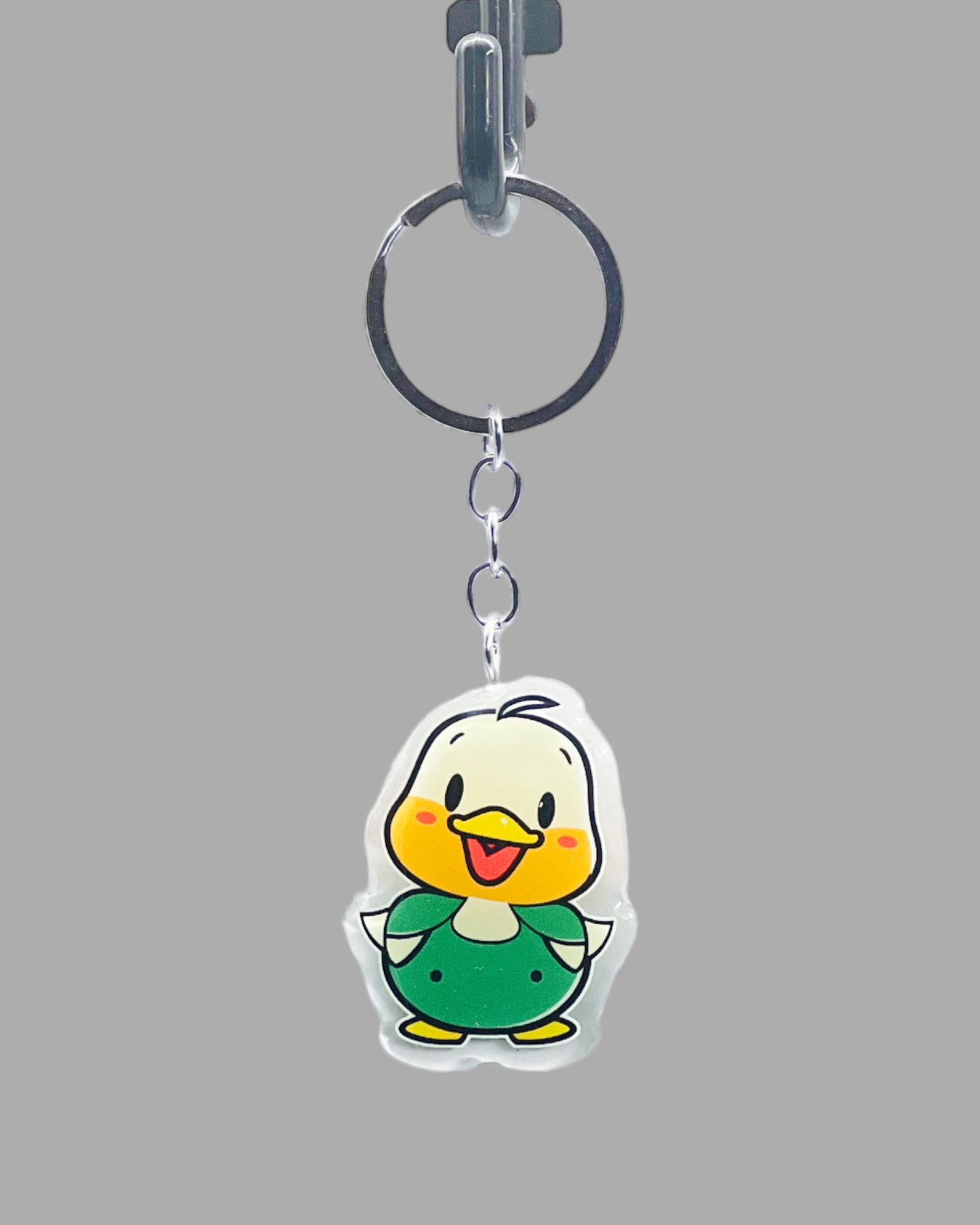 Duck Acrylic keychain birds wildlife