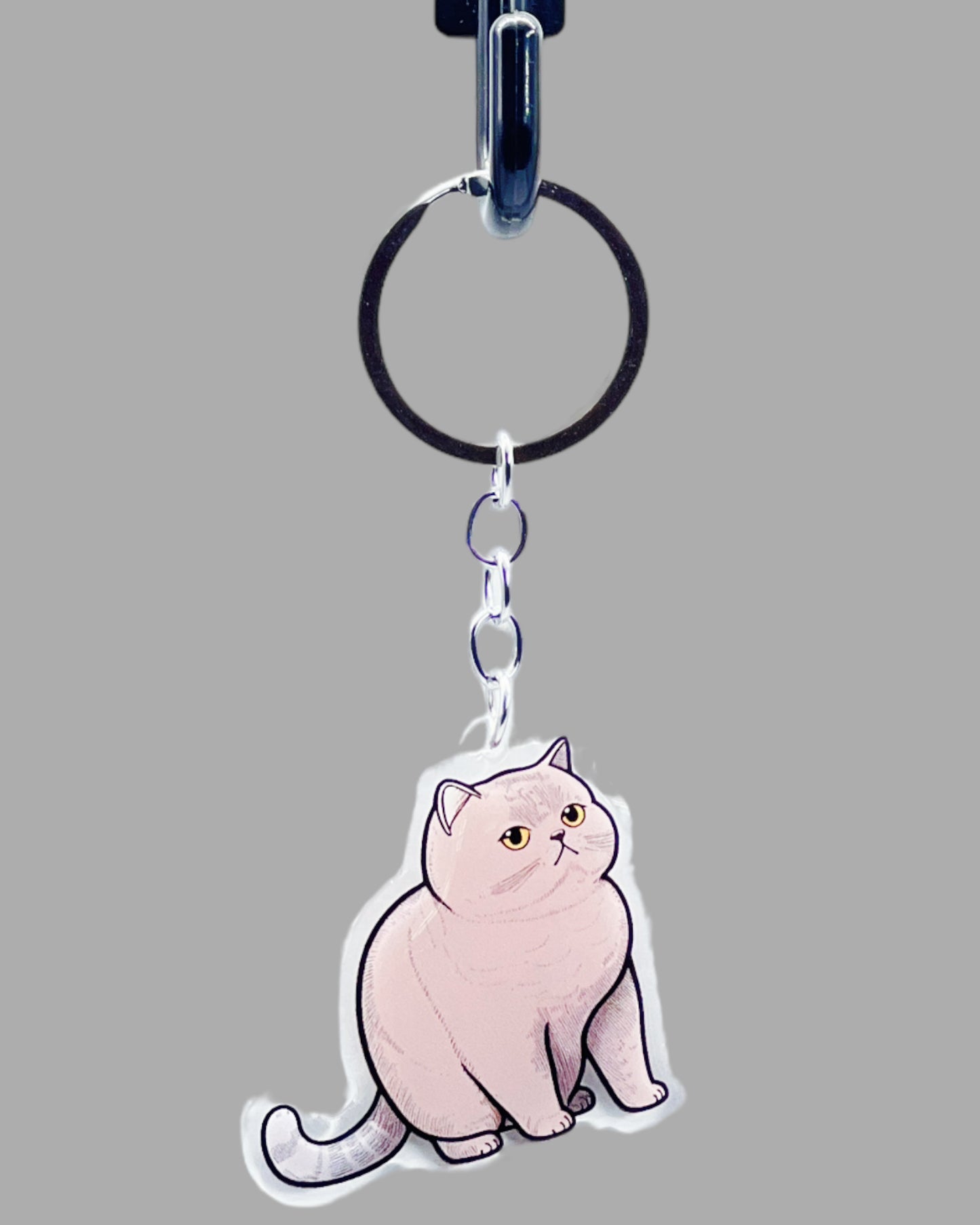 Korat Cat Acrylic key chain, Cute kawaii memorial ornament, pet portrait charm gift  backpack fob, dad car décor, first day of school gift