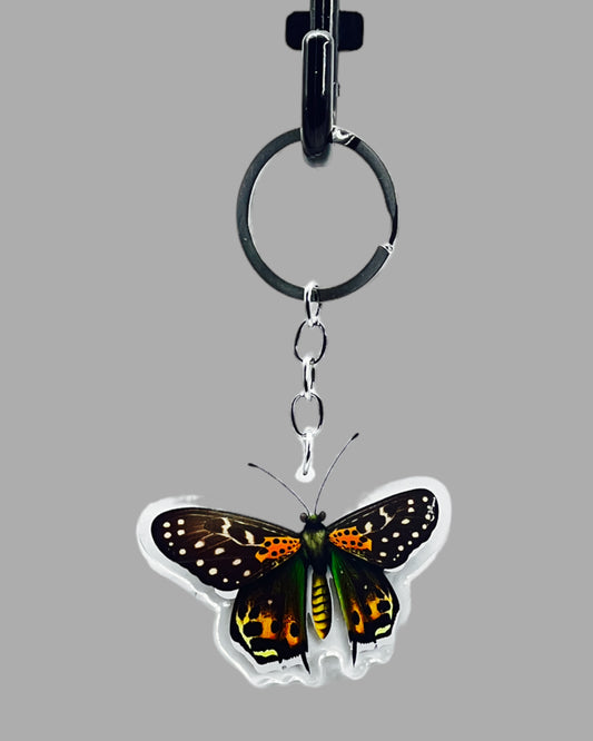 Redo Acrylic key chain