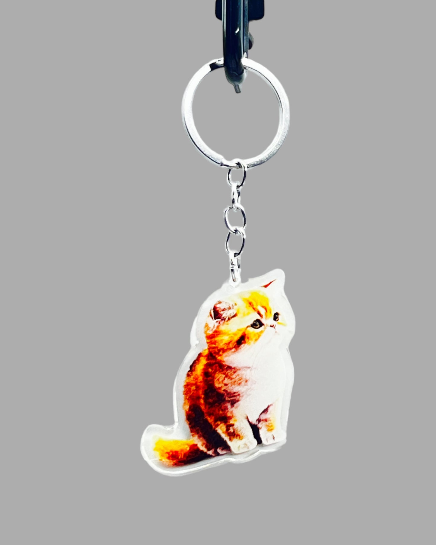 Orange Persian Cat Acrylic Keychain, Cute kawaii memorial ornament, pet portrait charm gift backpack fob, dad car décor, first day of school gift