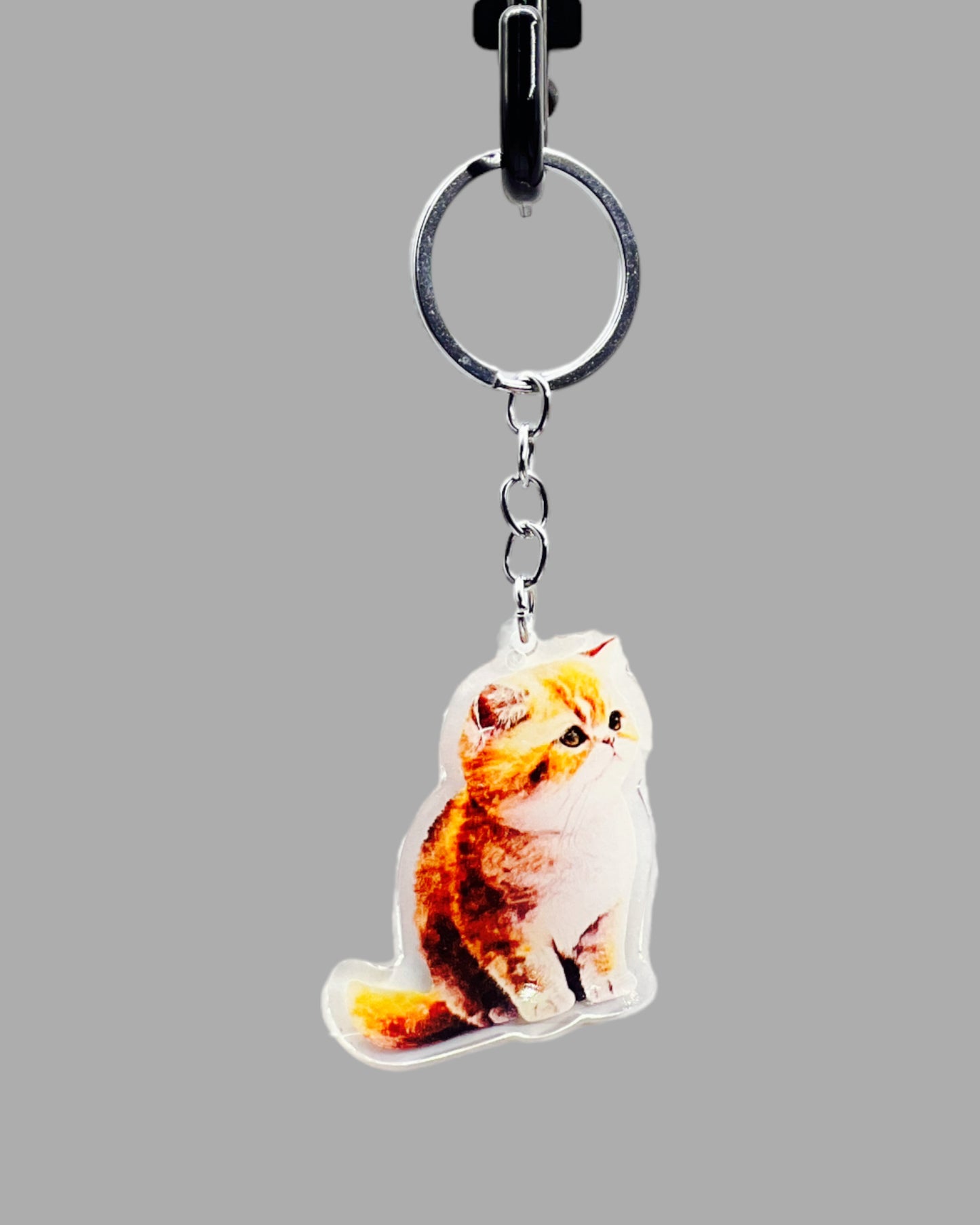 Orange Persian Cat Acrylic Keychain, Cute kawaii memorial ornament, pet portrait charm gift backpack fob, dad car décor, first day of school gift