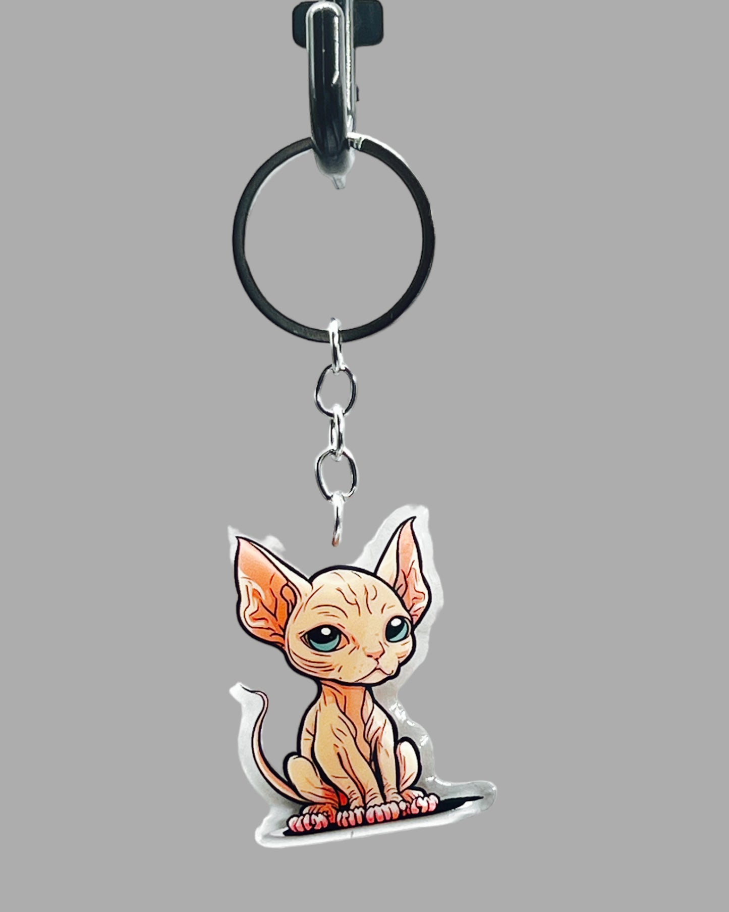 Redo Acrylic key chain