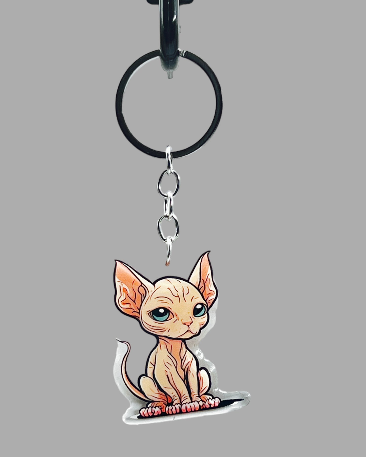 Redo Acrylic key chain