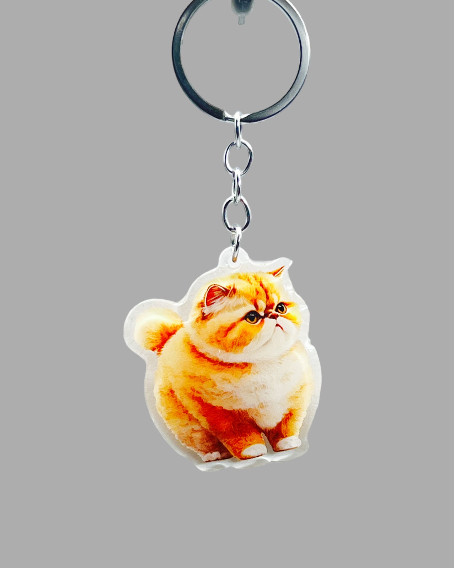 Orange Persian Cat Acrylic Keychain, Cute kawaii memorial ornament, pet portrait charm gift backpack fob, dad car décor, first day of school gift