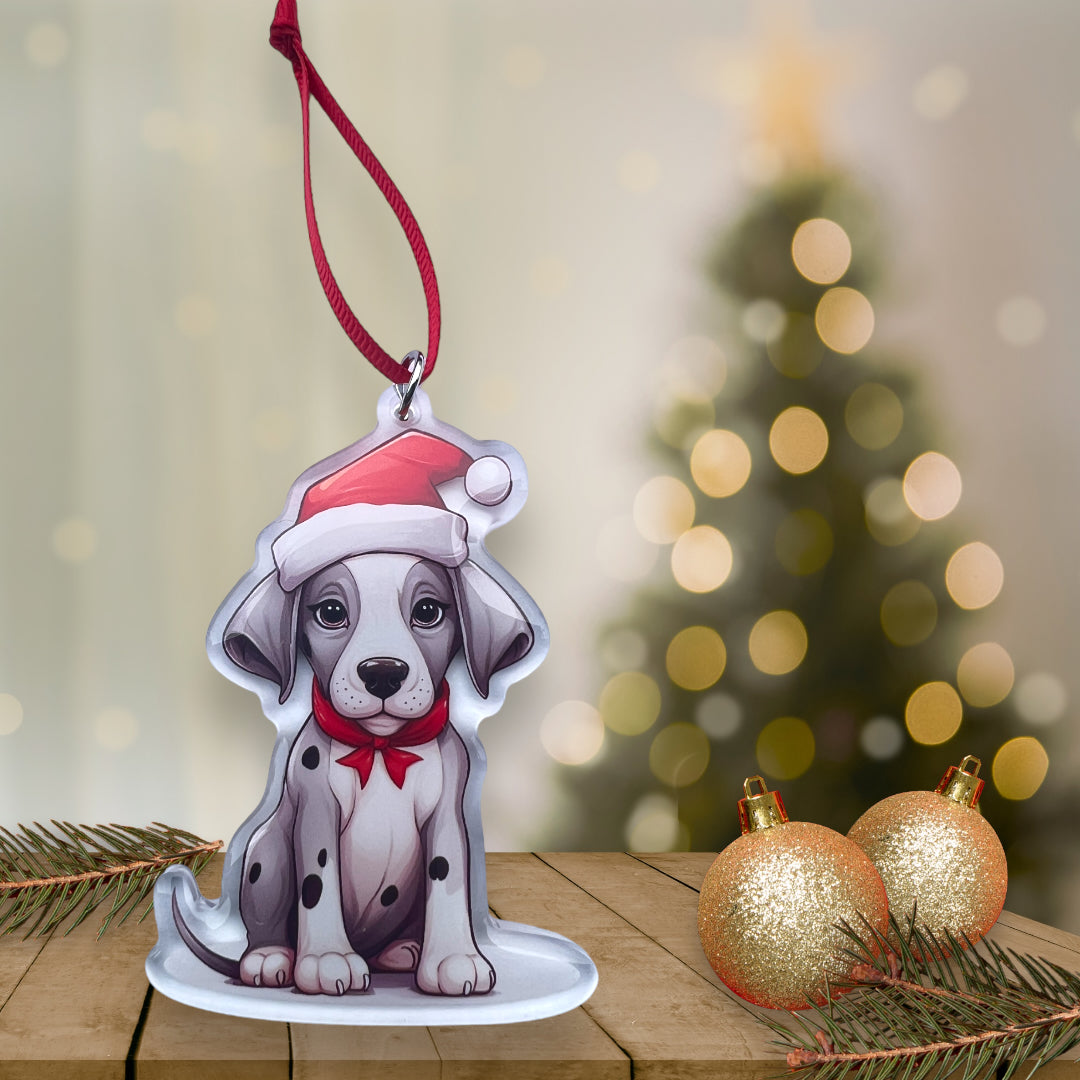 Acrylic Pet ornament, Christmas Ornament, Pet Memorial Ornament,Christmas Photo Ornament, Pet Portrait