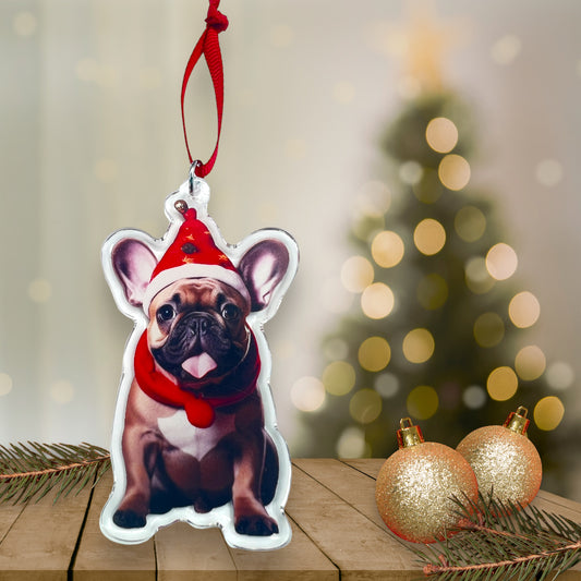 Acrylic Pet ornament, Christmas Ornament, Pet Memorial Ornament,Christmas Photo Ornament, Pet Portrait