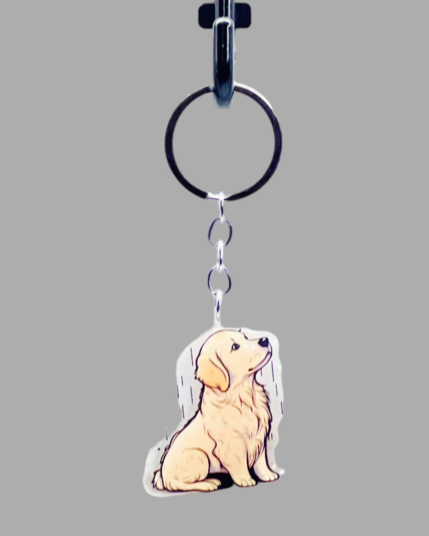 Golden Labrador Dog Acrylic keychain, Cute kawaii memorial ornament, pet portrait charm gift, backpack photo fob, dad car décor, dog mom gift