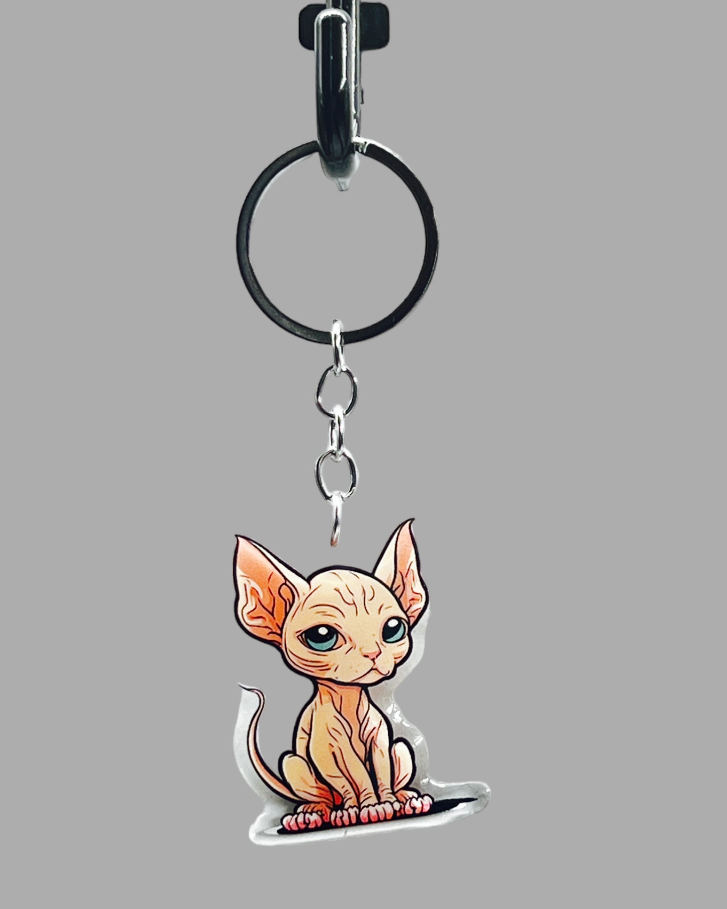 Redo Acrylic key chain