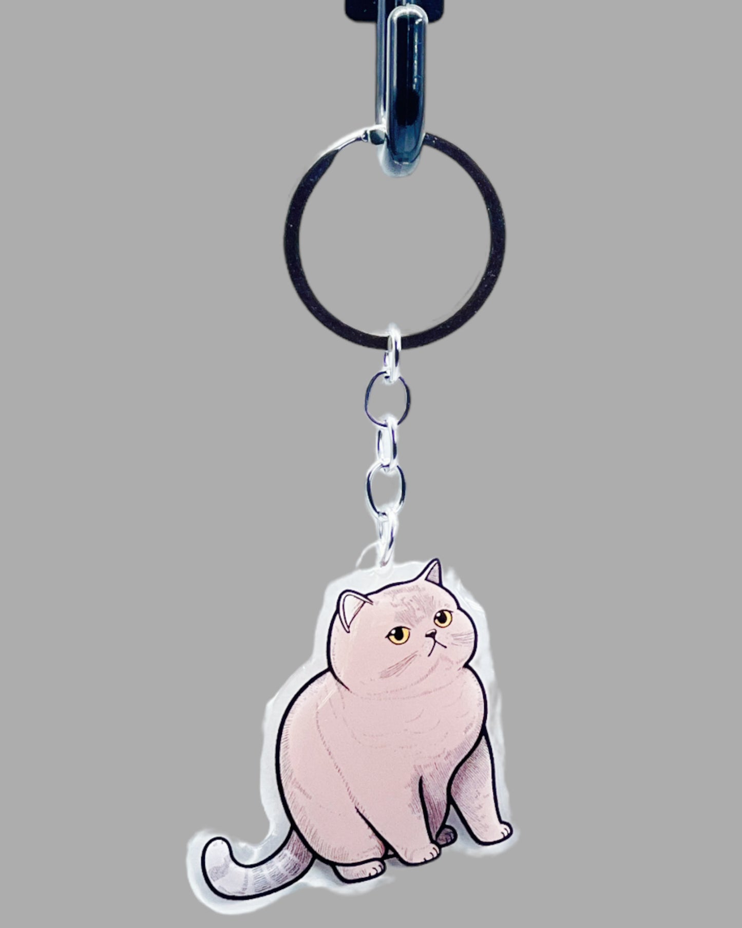 Korat Cat Acrylic key chain, Cute kawaii memorial ornament, pet portrait charm gift  backpack fob, dad car décor, first day of school gift