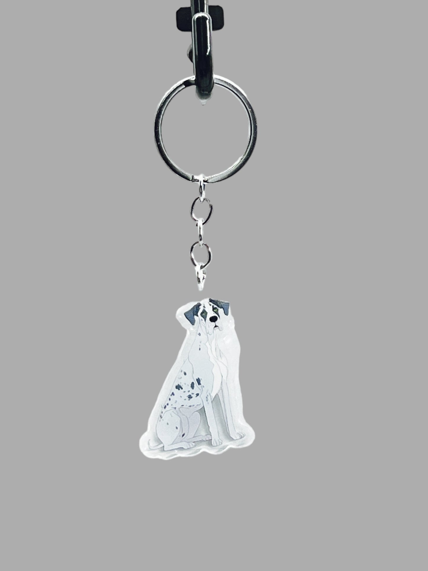 Great Dane Dog Acrylic keychain, Cute kawaii memorial ornament, pet portrait charm gift, backpack photo fob, dad car décor, dog mom gift