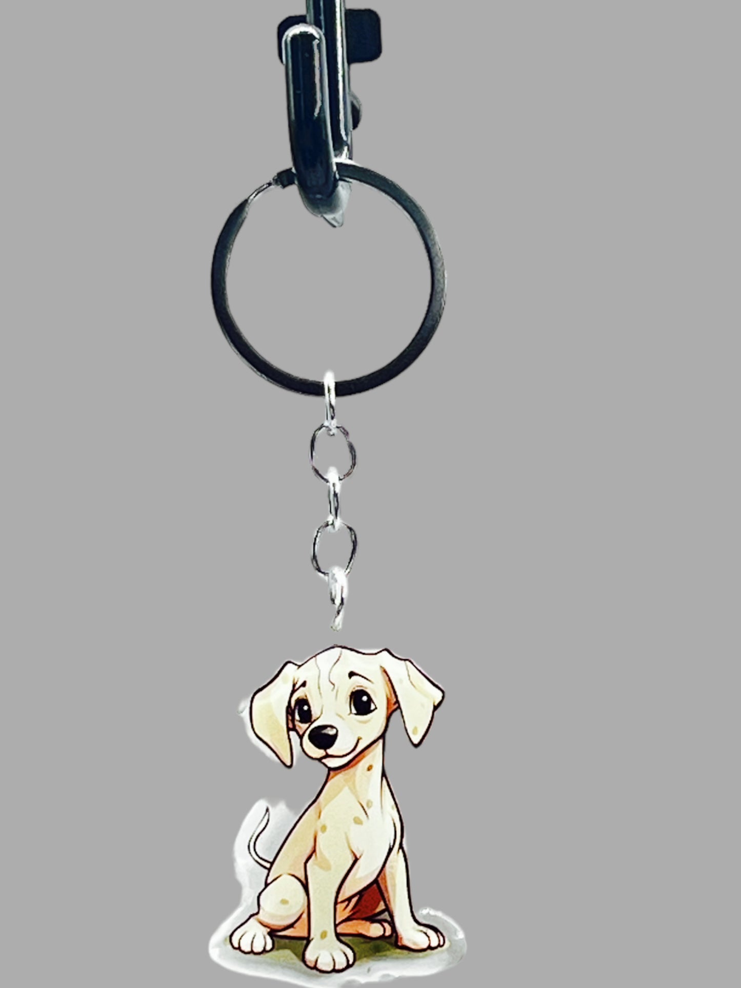 Golden Labrador Dog Acrylic keychain, Cute kawaii memorial ornament, pet portrait charm gift, backpack photo fob, dad car décor, dog mom gift