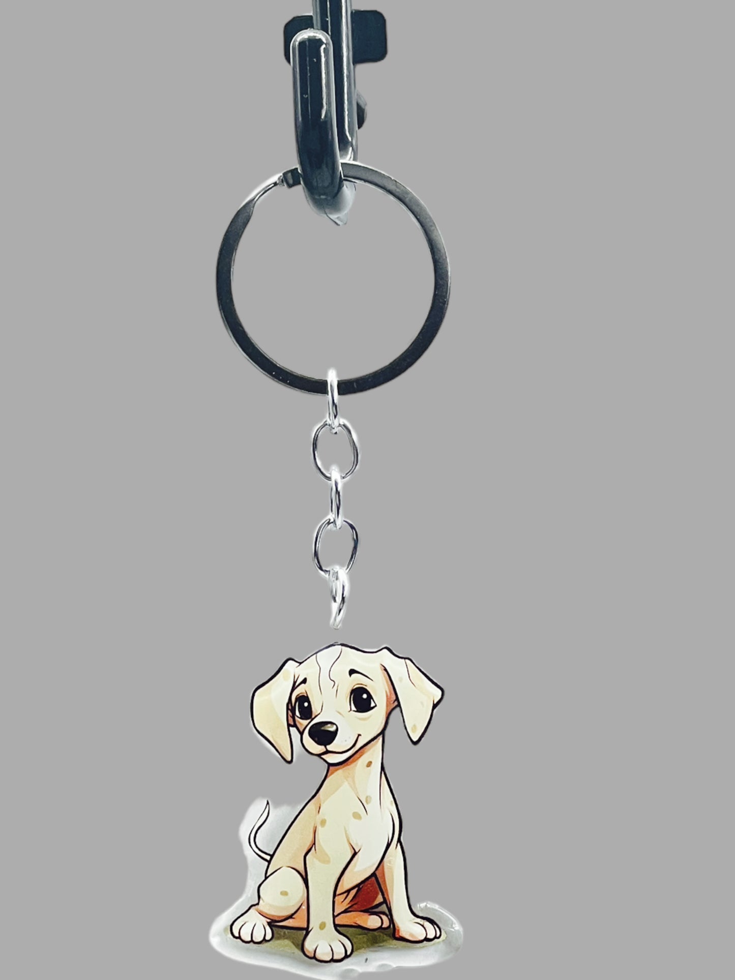 Golden Labrador Dog Acrylic keychain, Cute kawaii memorial ornament, pet portrait charm gift, backpack photo fob, dad car décor, dog mom gift