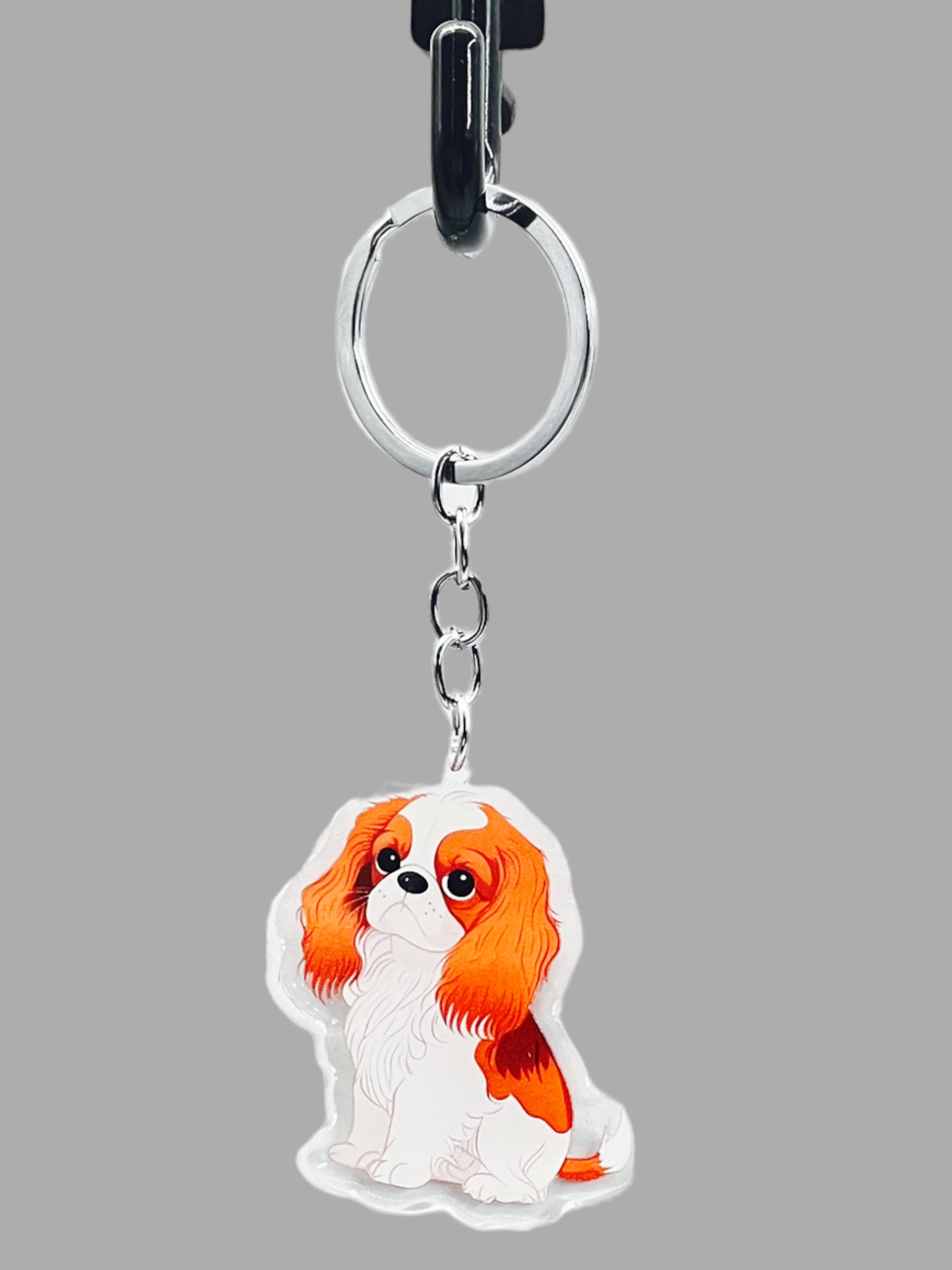 Doberman Pinscher Dog Acrylic Keychain Cute kawaii memorial ornament, pet portrait charm gift  backpack photo fob, dad car décor, dog mom gift