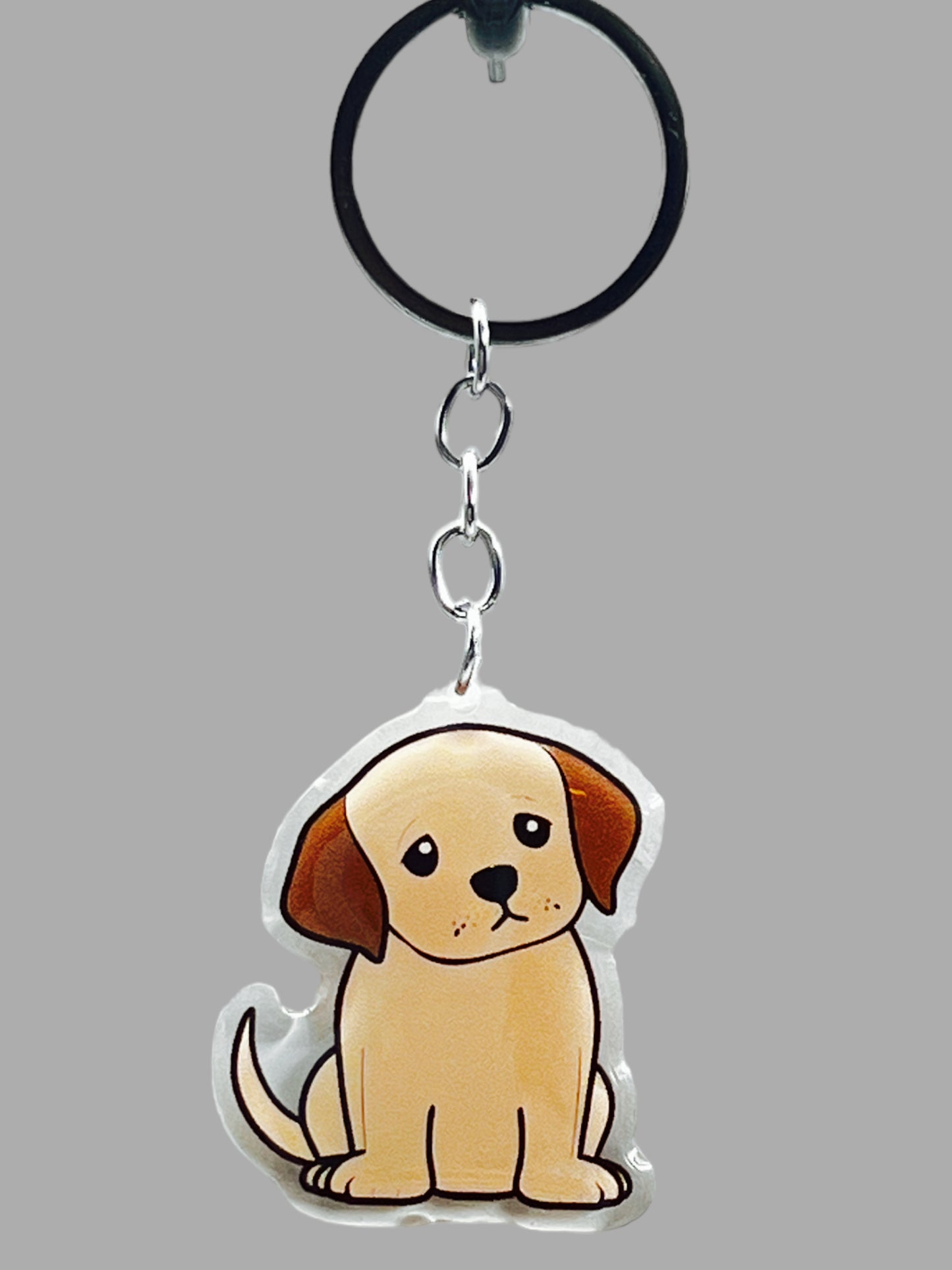 Doberman Pinscher Dog Acrylic Keychain Cute kawaii memorial ornament, pet portrait charm gift  backpack photo fob, dad car décor, dog mom gift