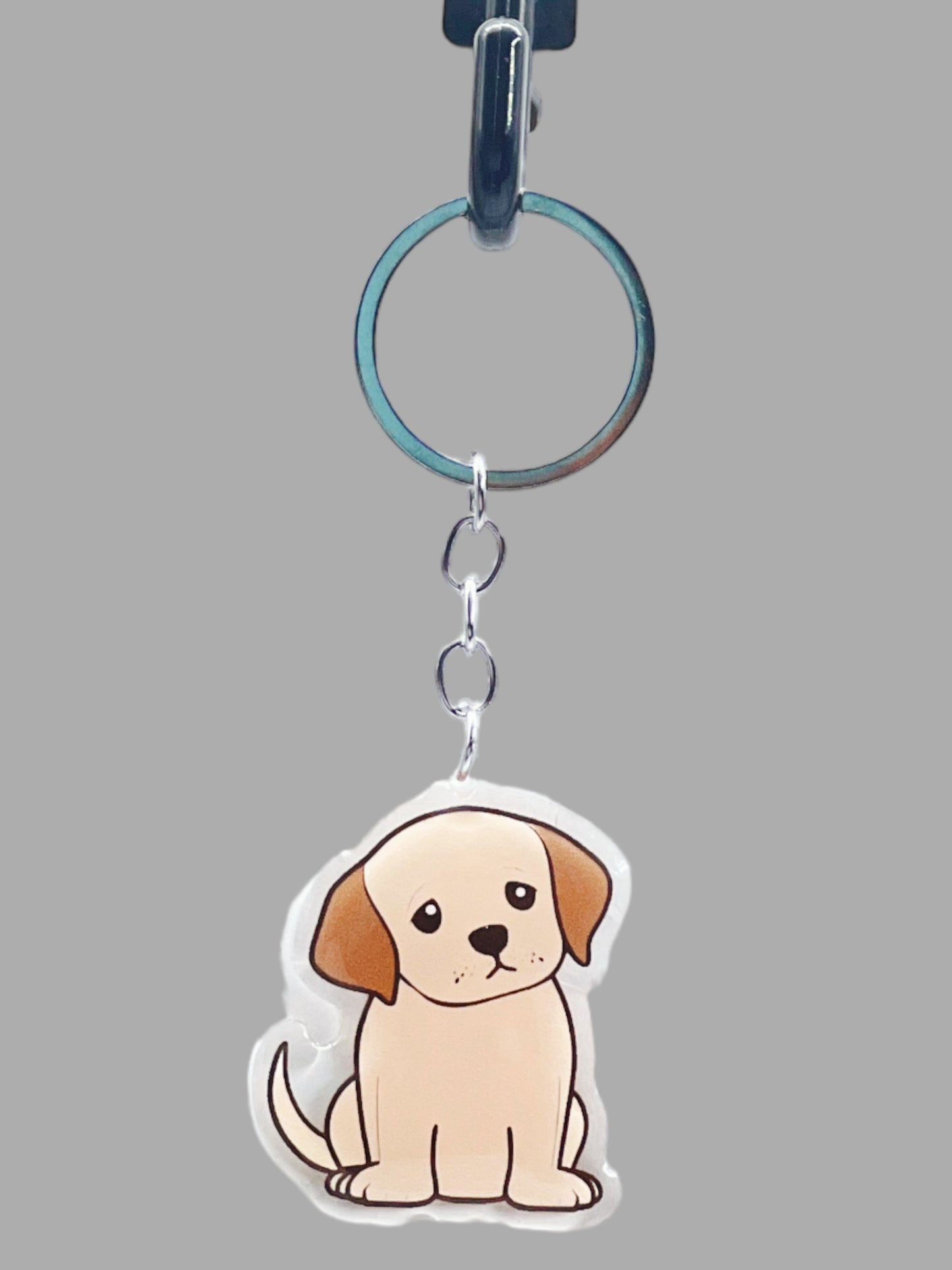 Doberman Pinscher Dog Acrylic Keychain Cute kawaii memorial ornament, pet portrait charm gift  backpack photo fob, dad car décor, dog mom gift