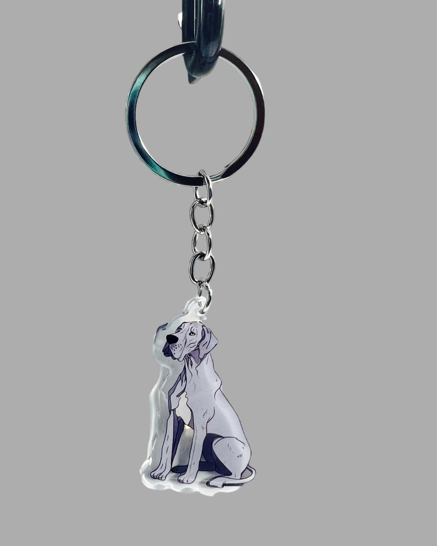 Great Dane Dog Acrylic keychain, Cute kawaii memorial ornament, pet portrait charm gift, backpack photo fob, dad car décor, dog mom gift