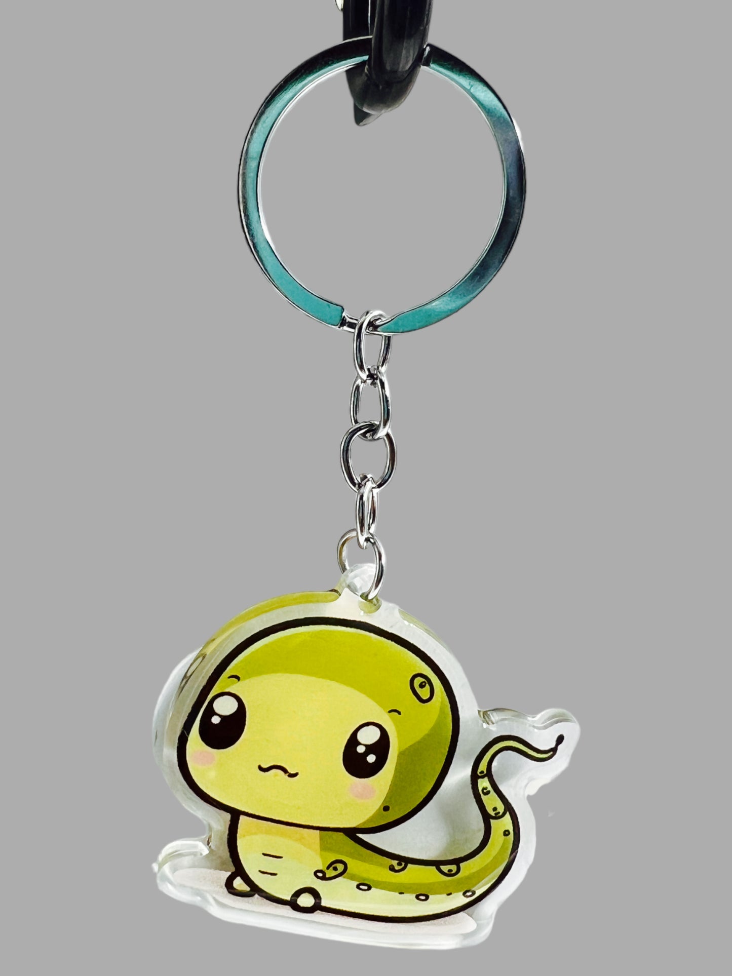 Salamander Acrylic Keychain, Wildlife Cute kawaii memorial ornament, pet portrait charm, backpack fob, dad car décor, stocking stuffer, birthday gift