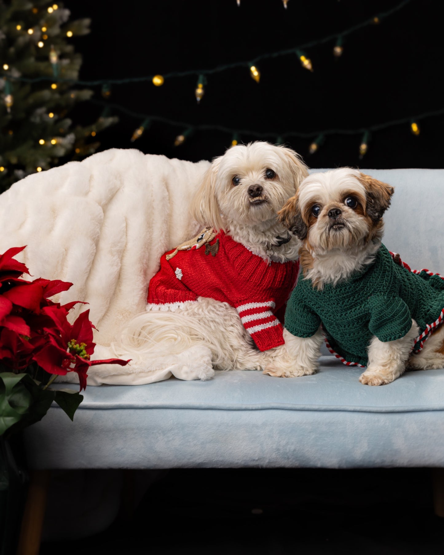 Christmas Dog Reindeer Sweateri