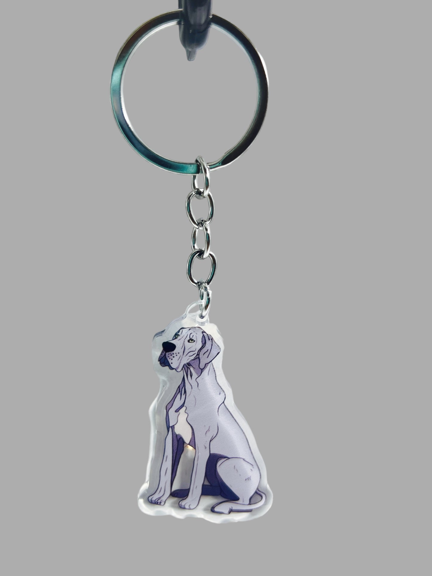 Great Dane Dog Acrylic keychain, Cute kawaii memorial ornament, pet portrait charm gift, backpack photo fob, dad car décor, dog mom gift