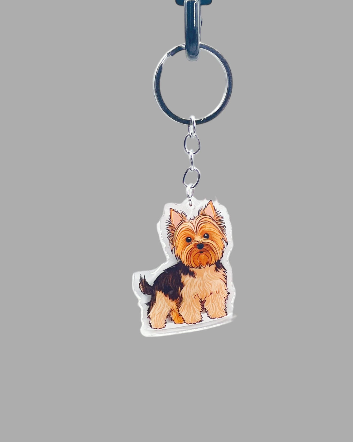 Koala Bear Acrylic Keychain, Wildlife Cute kawaii memorial ornament, pet portrait charm gift  backpack fob, dad car décor, first day of school gift