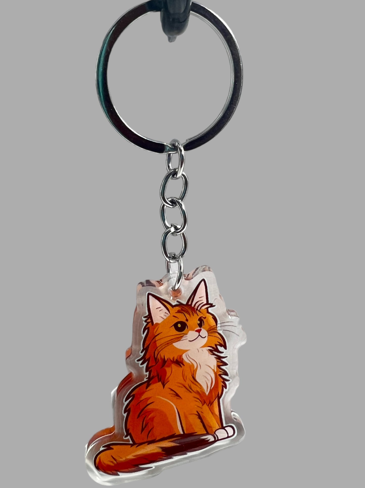 Maine Coon Cat Acrylic Keychain, Cute kawaii memorial ornament, pet portrait charm gift  backpack fob, dad car décor, first day of school gift