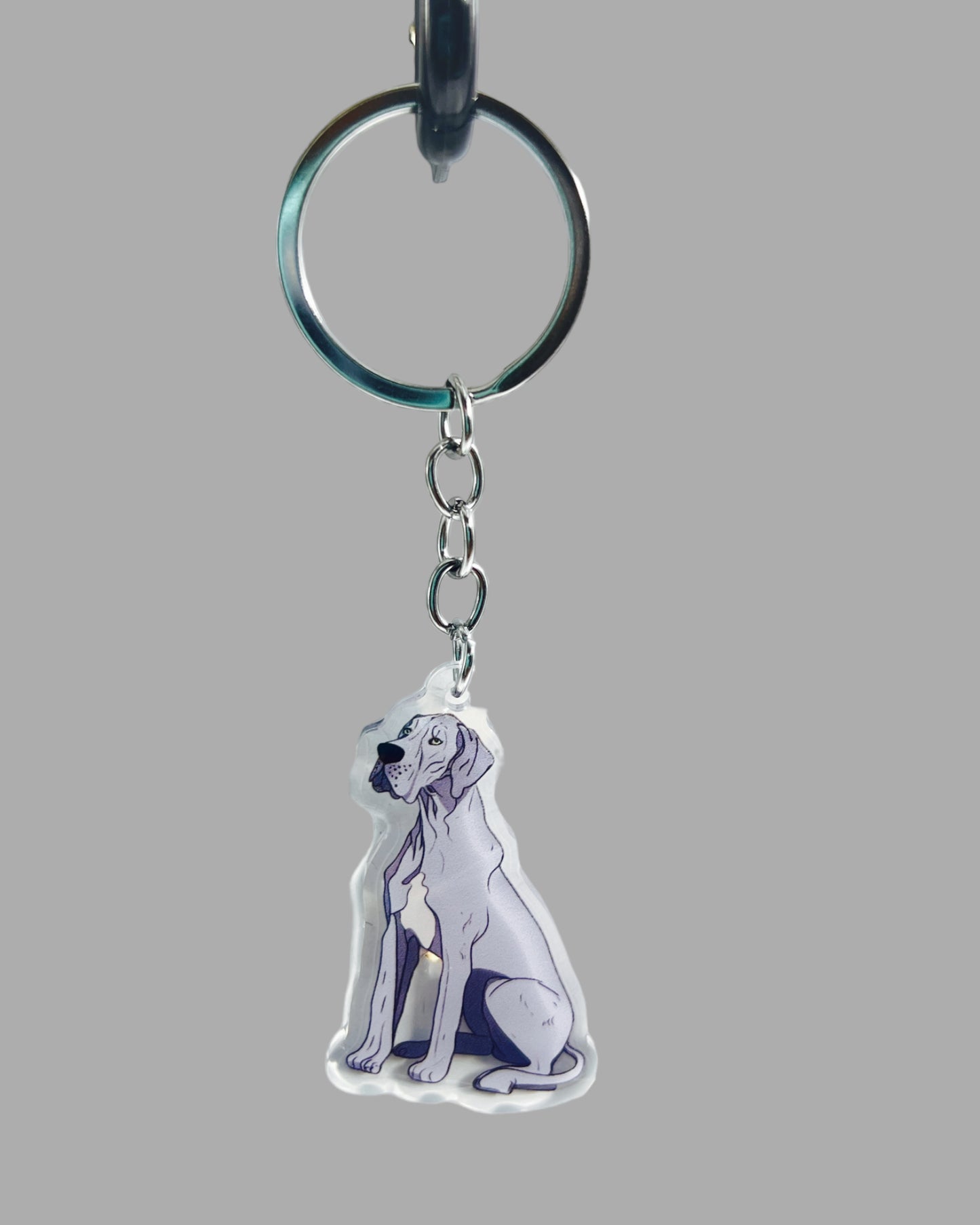 Great Dane Dog Acrylic keychain, Cute kawaii memorial ornament, pet portrait charm gift, backpack photo fob, dad car décor, dog mom gift