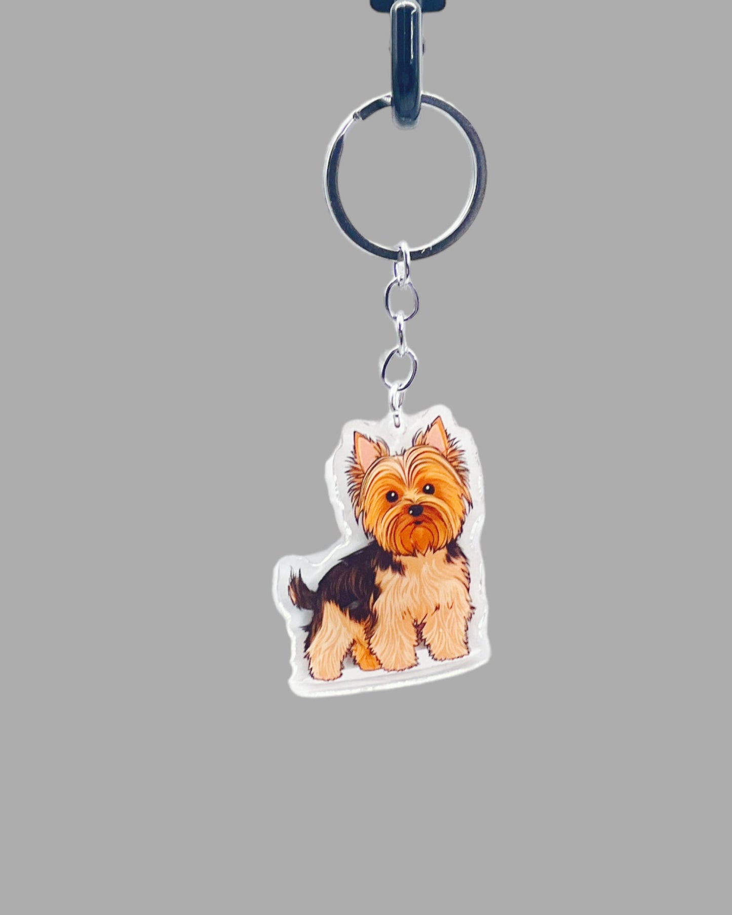 Koala Bear Acrylic Keychain, Wildlife Cute kawaii memorial ornament, pet portrait charm gift  backpack fob, dad car décor, first day of school gift