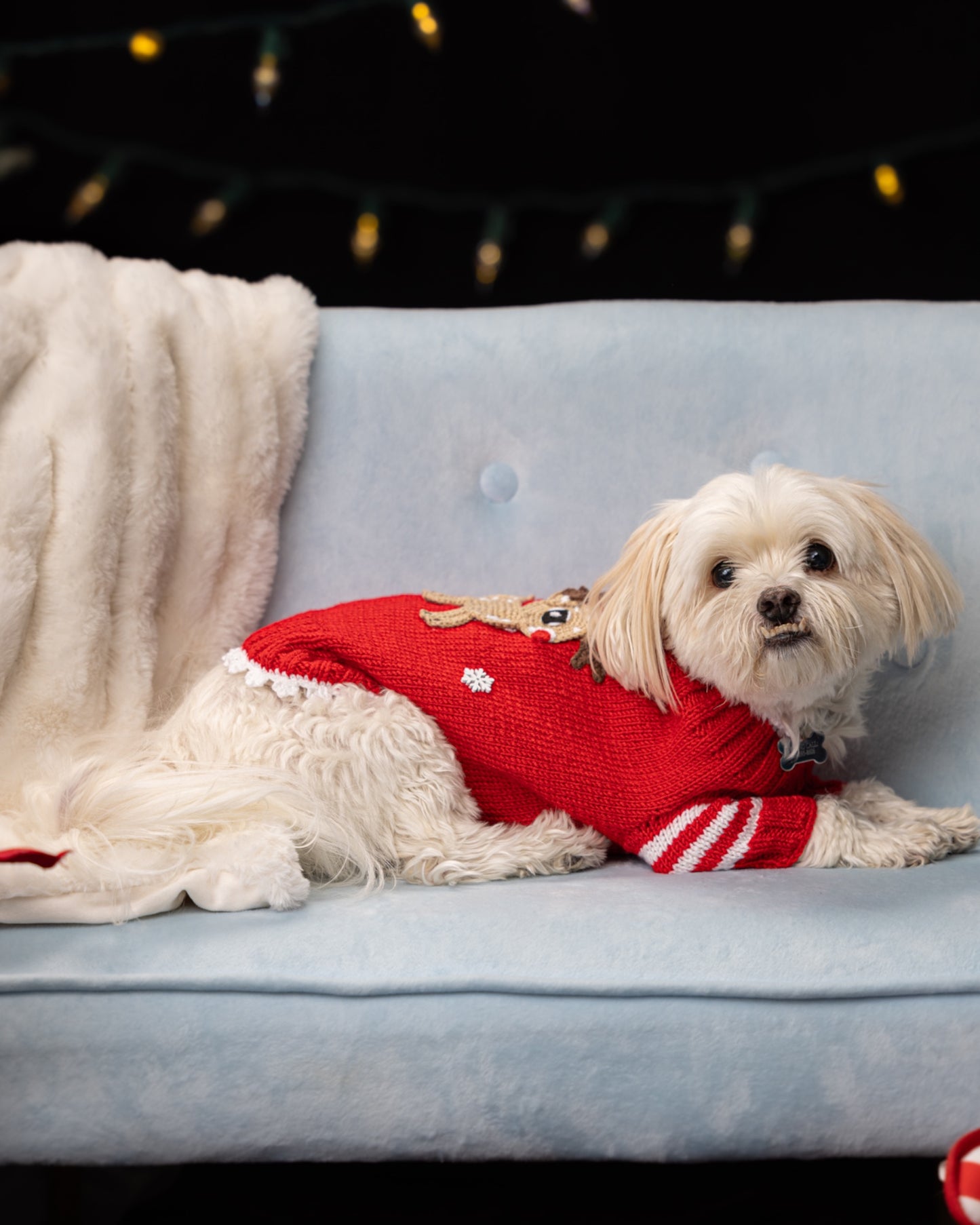 Christmas Dog Reindeer Sweateri