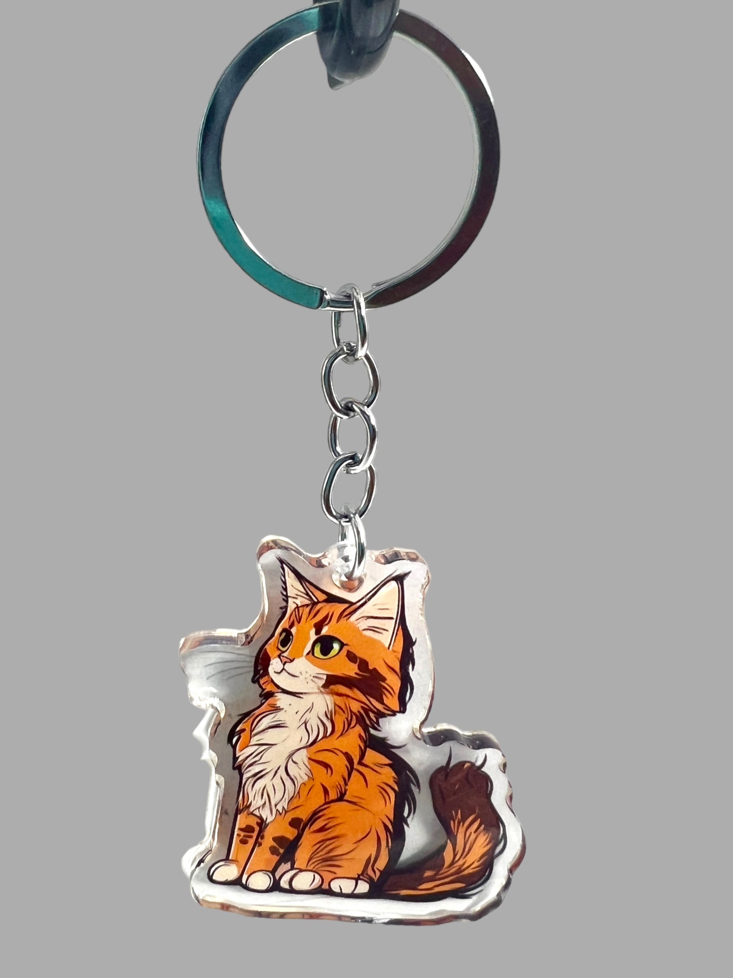 Maine Coon Cat Acrylic Keychain, Cute kawaii memorial ornament, pet portrait charm gift  backpack fob, dad car décor, first day of school gift