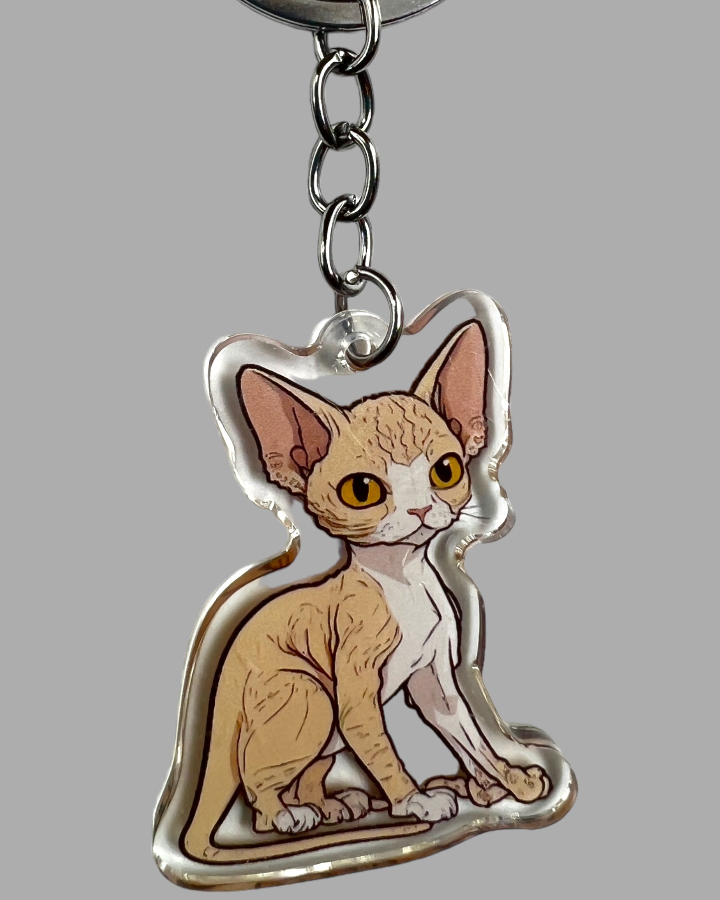 Devon Rex Cat Acrylic Keychain, Cute kawaii memorial ornament, pet portrait charm gift  backpack fob, dad car décor, first day of school gift