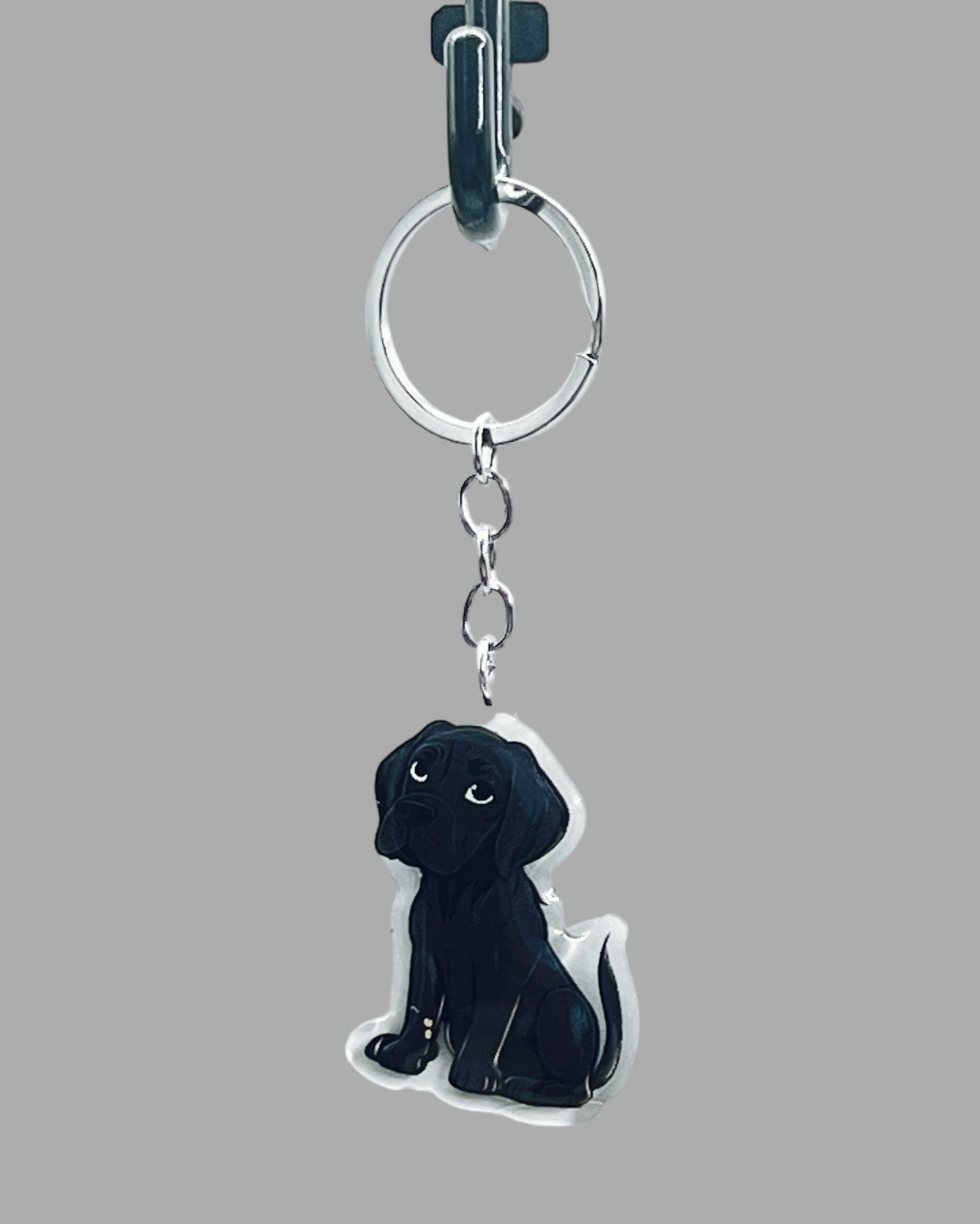 Black Labrador Dog Acrylic keychain, Cute kawaii memorial ornament, pet portrait charm gift  backpack fob, dad car décor, first day of school