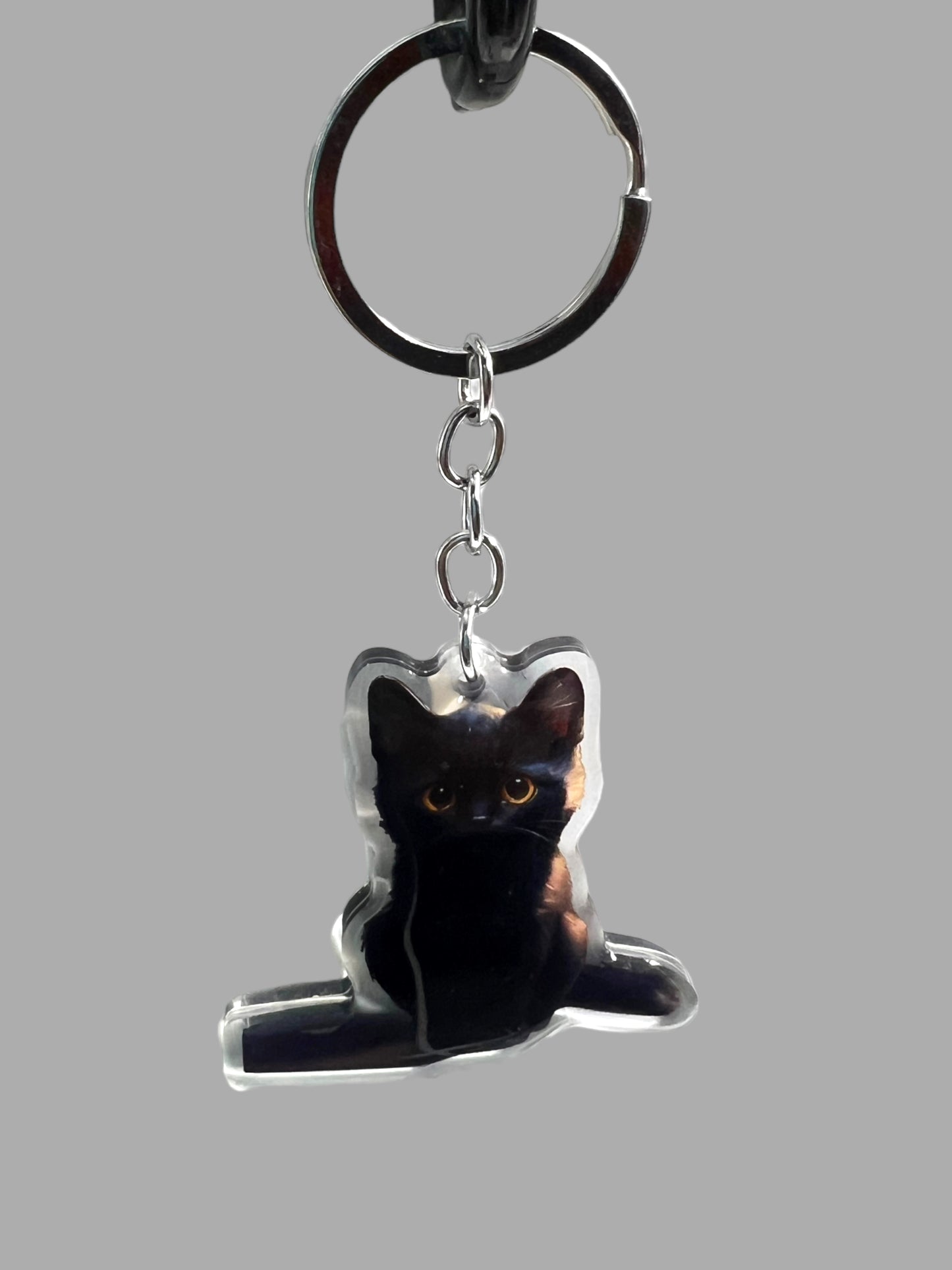 American Short Hair Cat Acrylic Keychain Cute kawaii animal memorial ornament, pet portrait charm gift  backpack photo fob or dad car décor