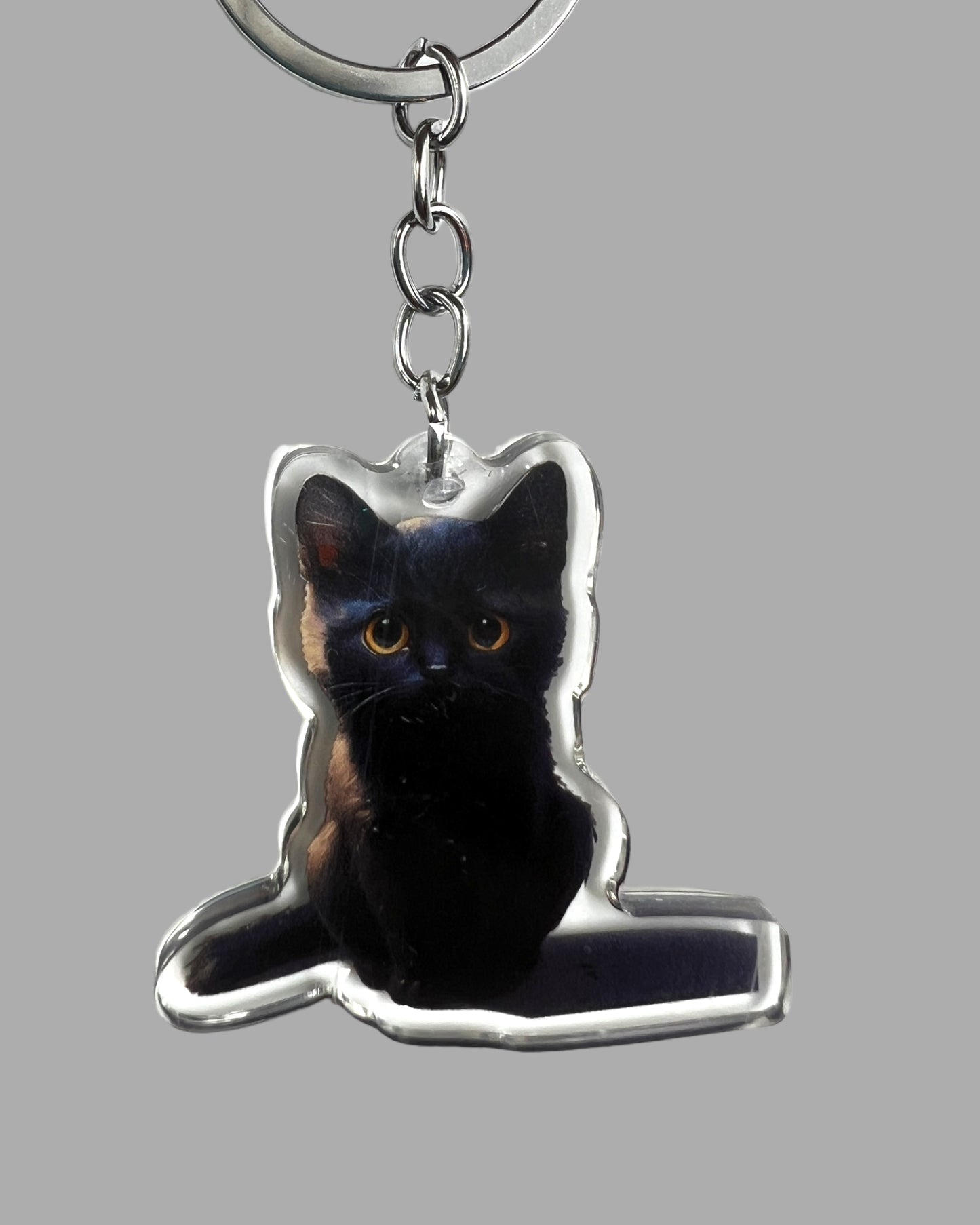 American Short Hair Cat Acrylic Keychain Cute kawaii animal memorial ornament, pet portrait charm gift  backpack photo fob or dad car décor