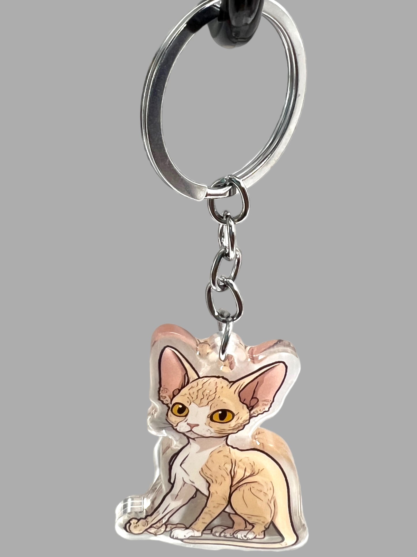 Devon Rex Cat Acrylic Keychain, Cute kawaii memorial ornament, pet portrait charm gift  backpack fob, dad car décor, first day of school gift