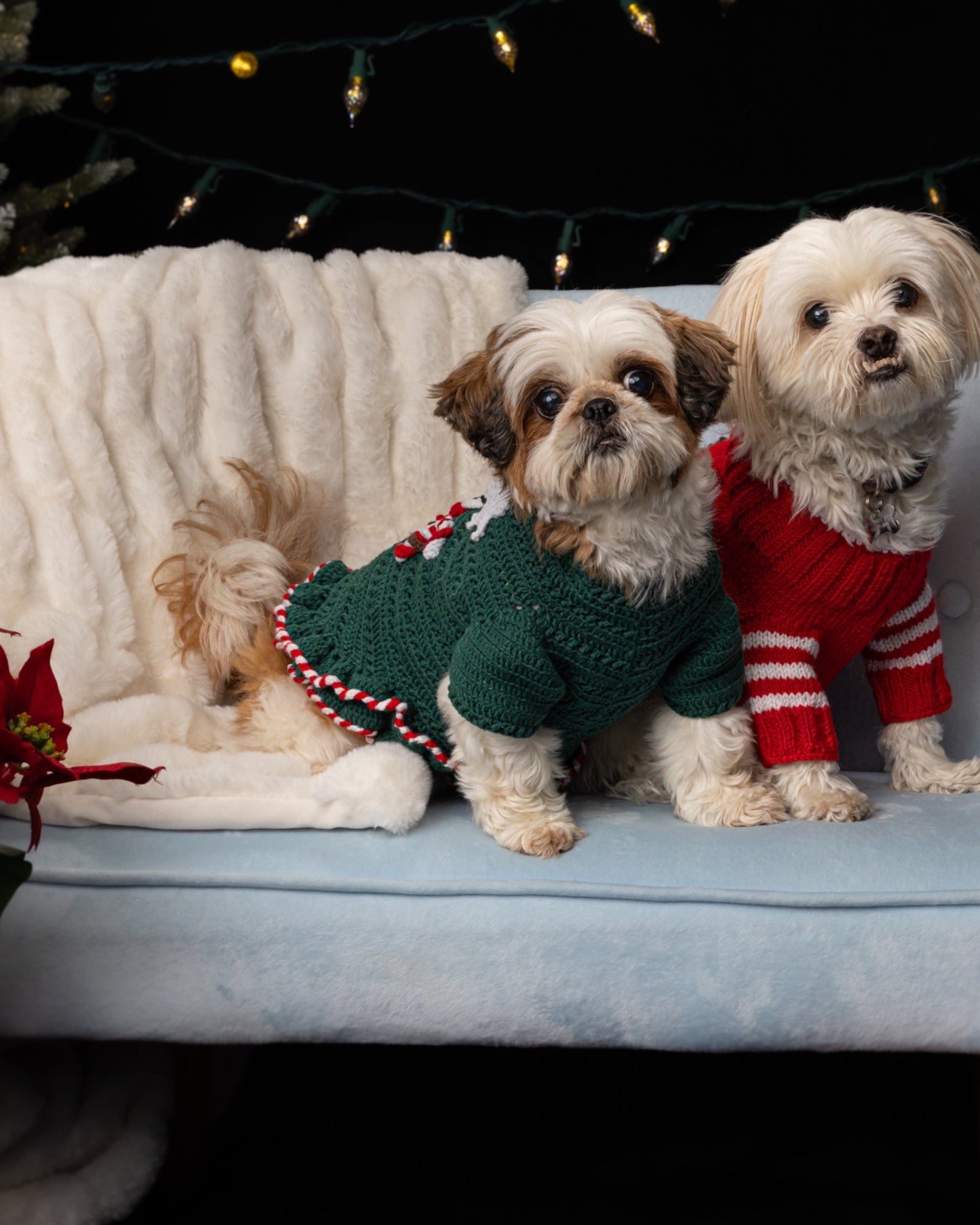 Small dog snowman Sweater